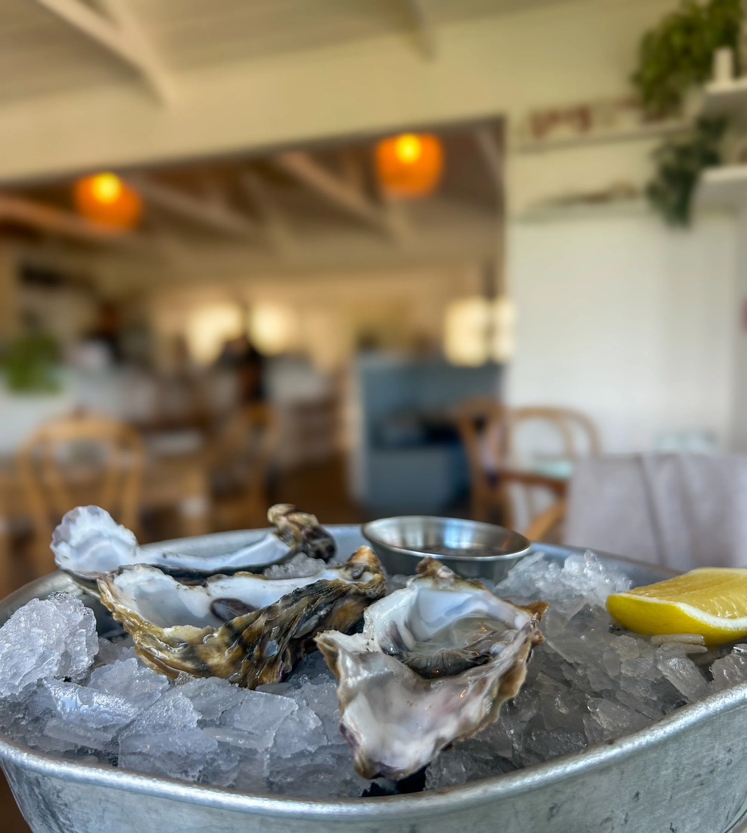 Oysters at Oyster Inn on Waiheke Island