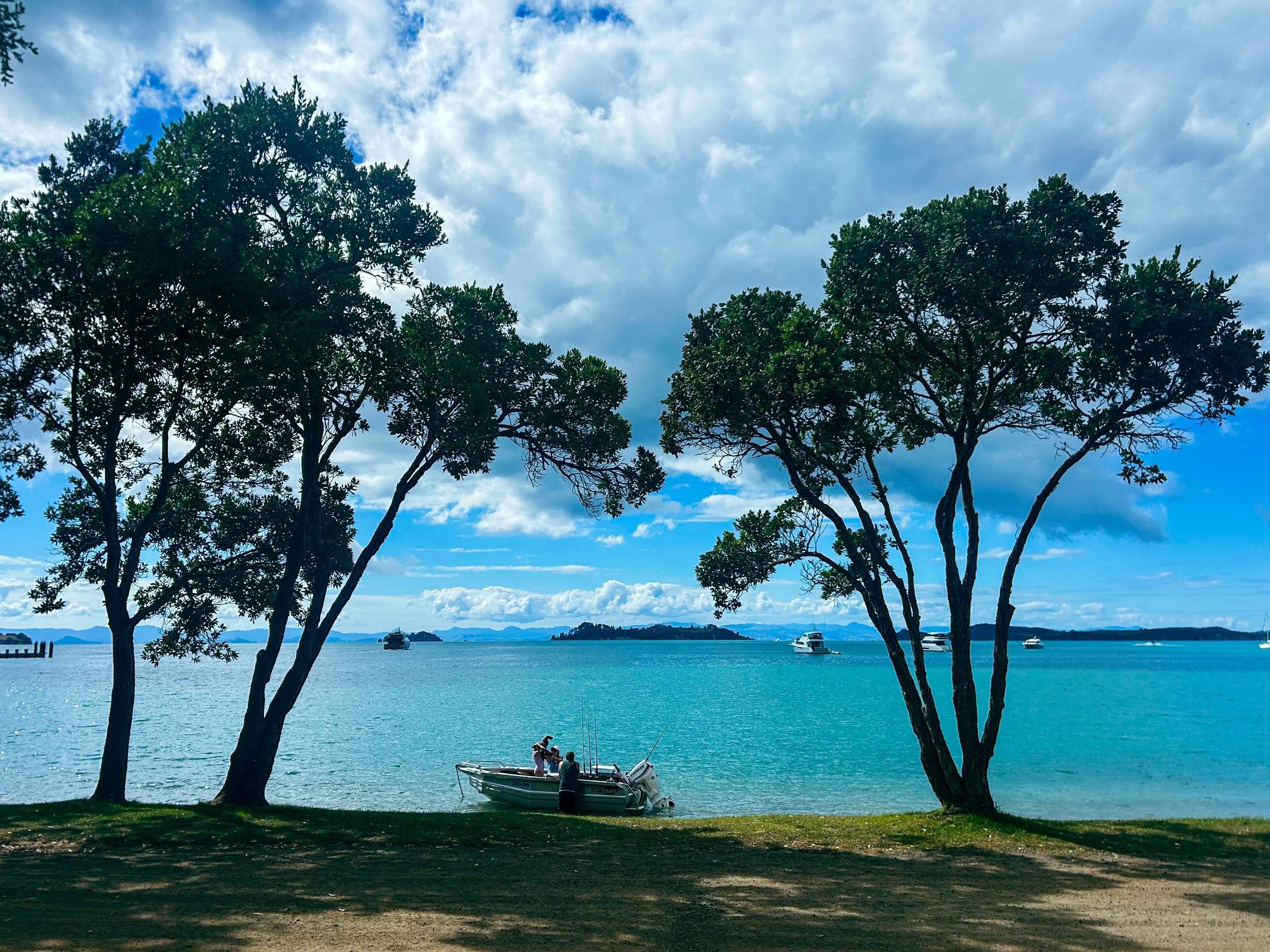 A view from the tasting porch at Man O'War Vineyards on Waiheke Island