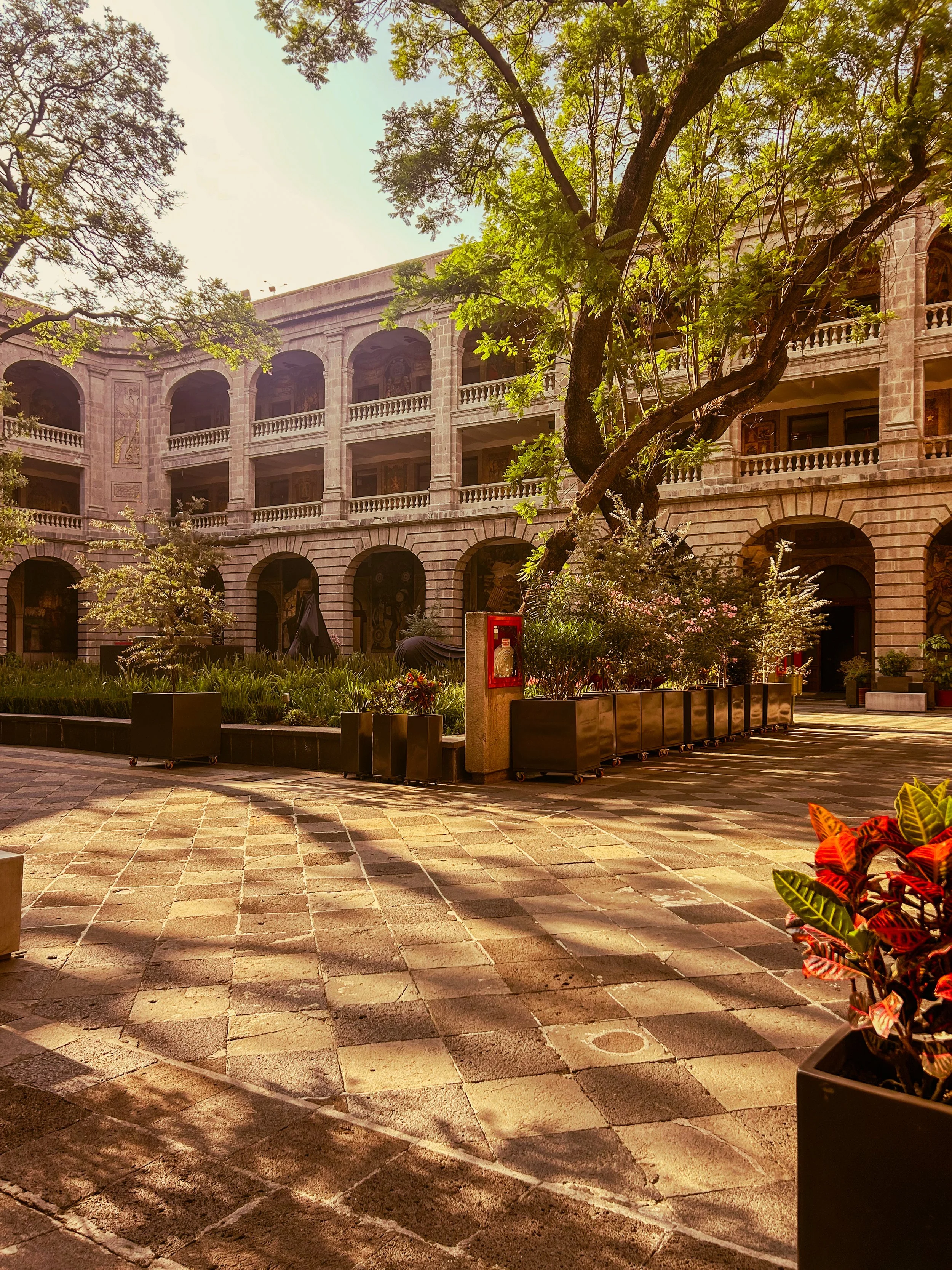 Sun-drenched inner courtyard of the Museo Vivo del Muralismo