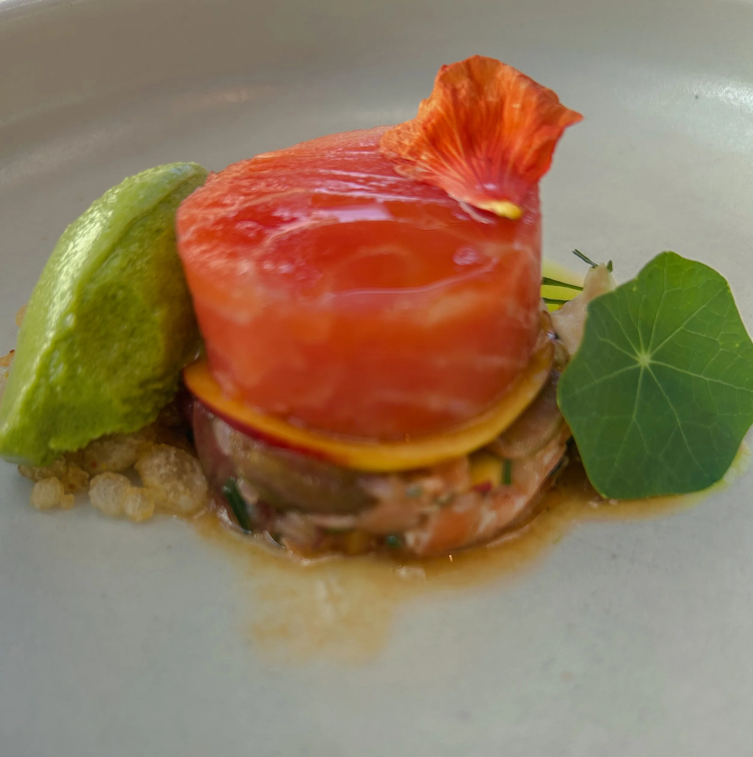 Salmon Entree at Ahi in Auckland, New Zealand