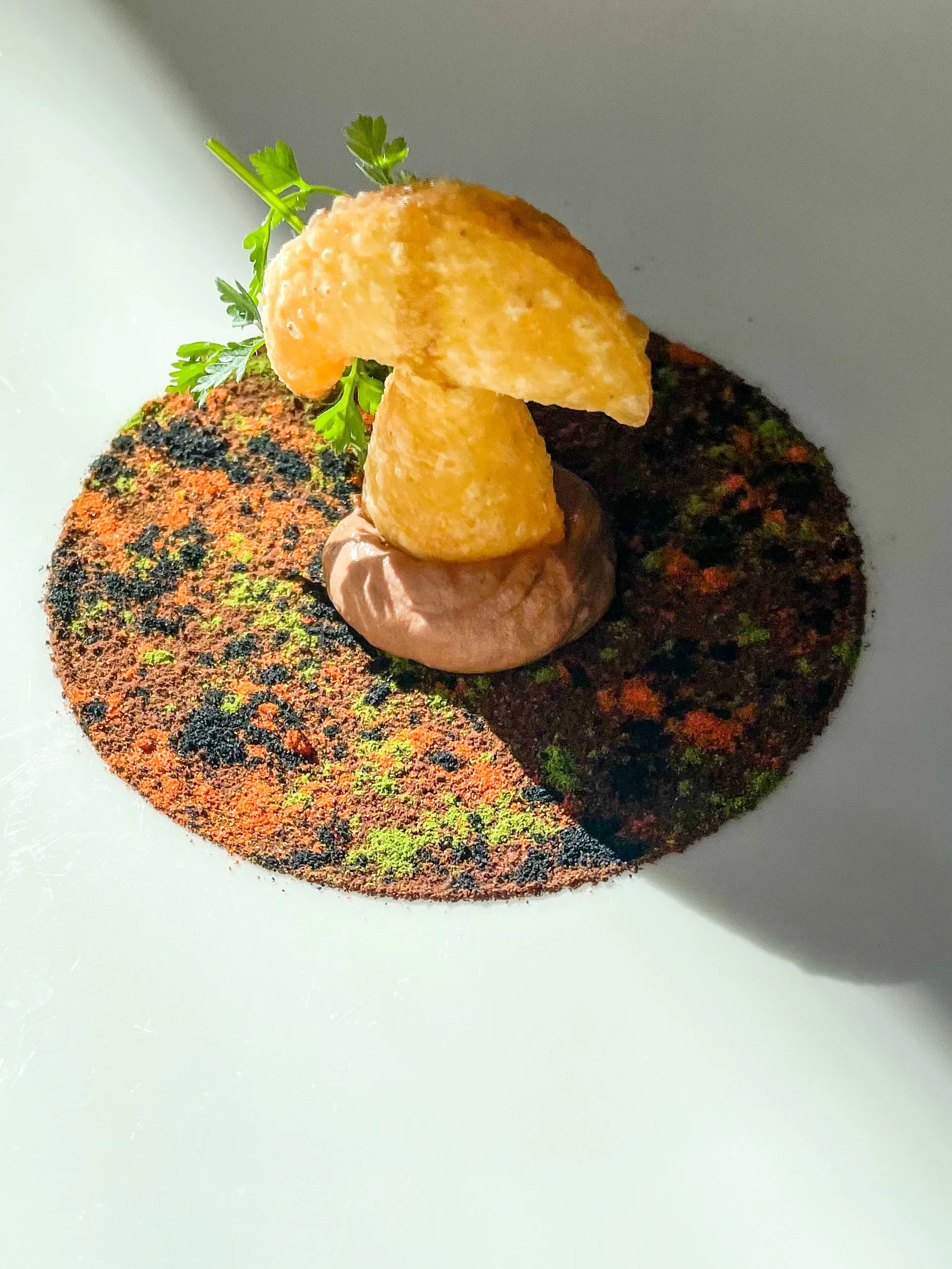 Beautiful petri-Dish at Glam in Venice