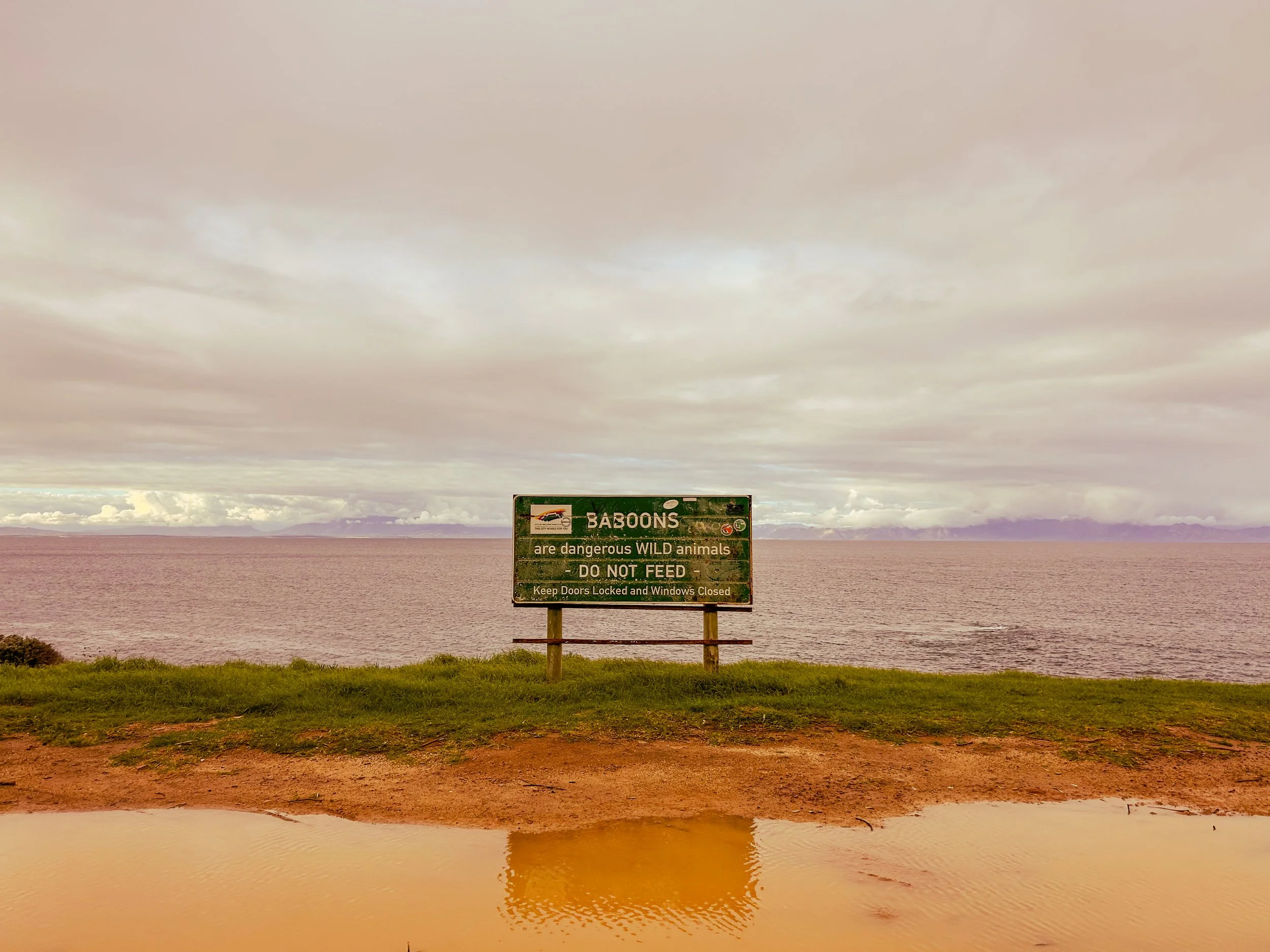 A sign warning of the danger of baboons on the drive down to the Cape of Good Hope