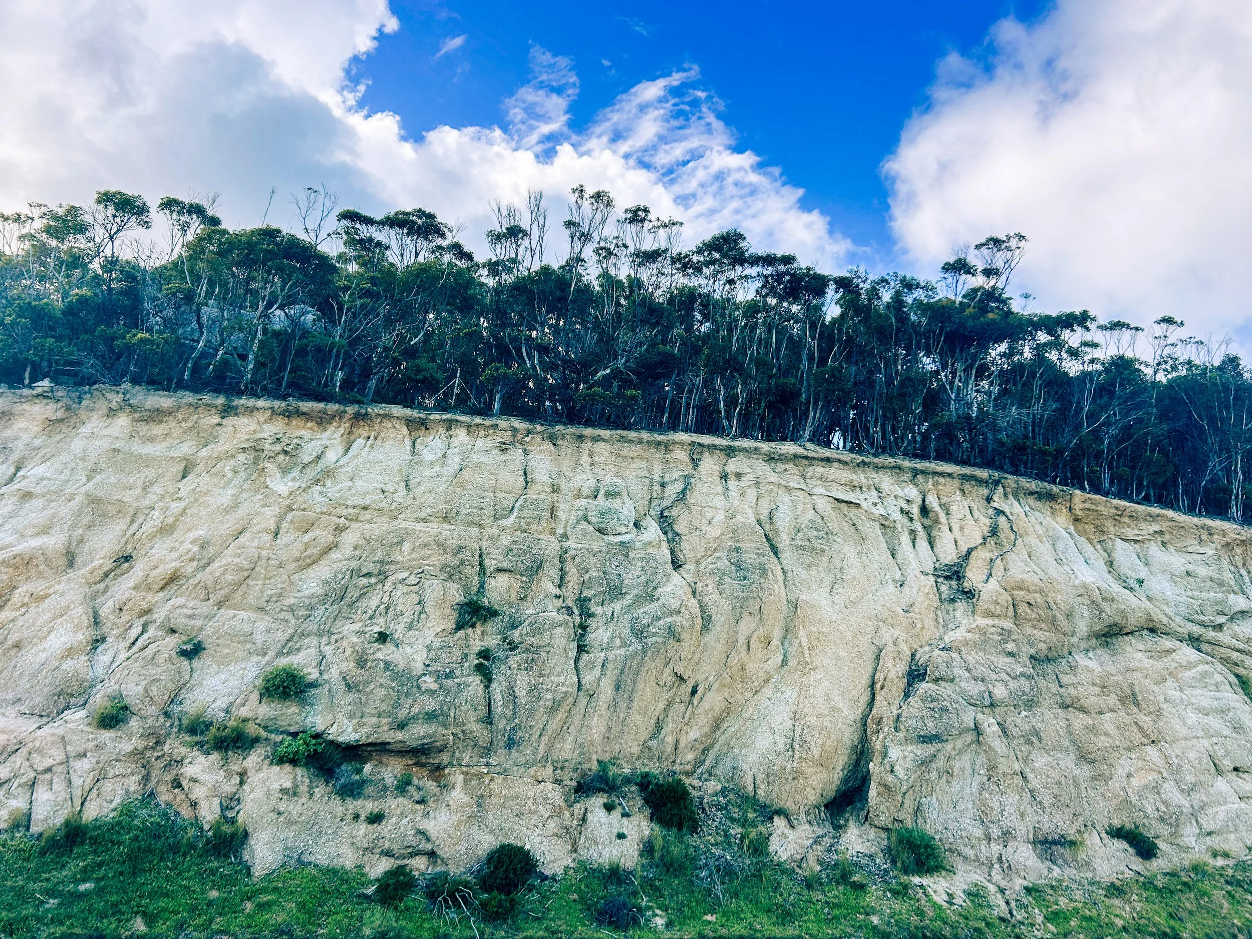 View up a cliff from the drive down to the Cape of Good Hope