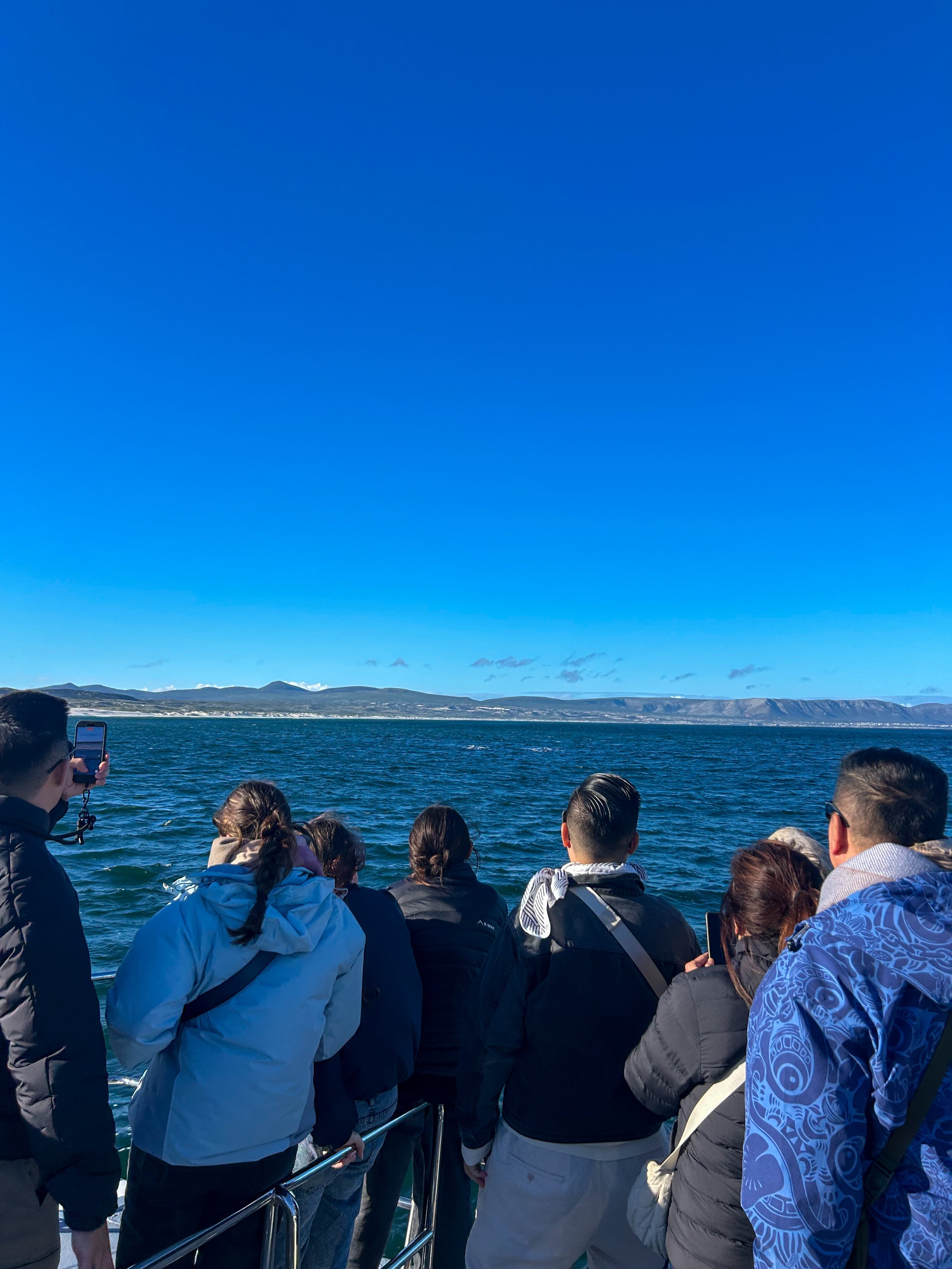 whale watching from the interior railing of the boat in Hermanus South Africa