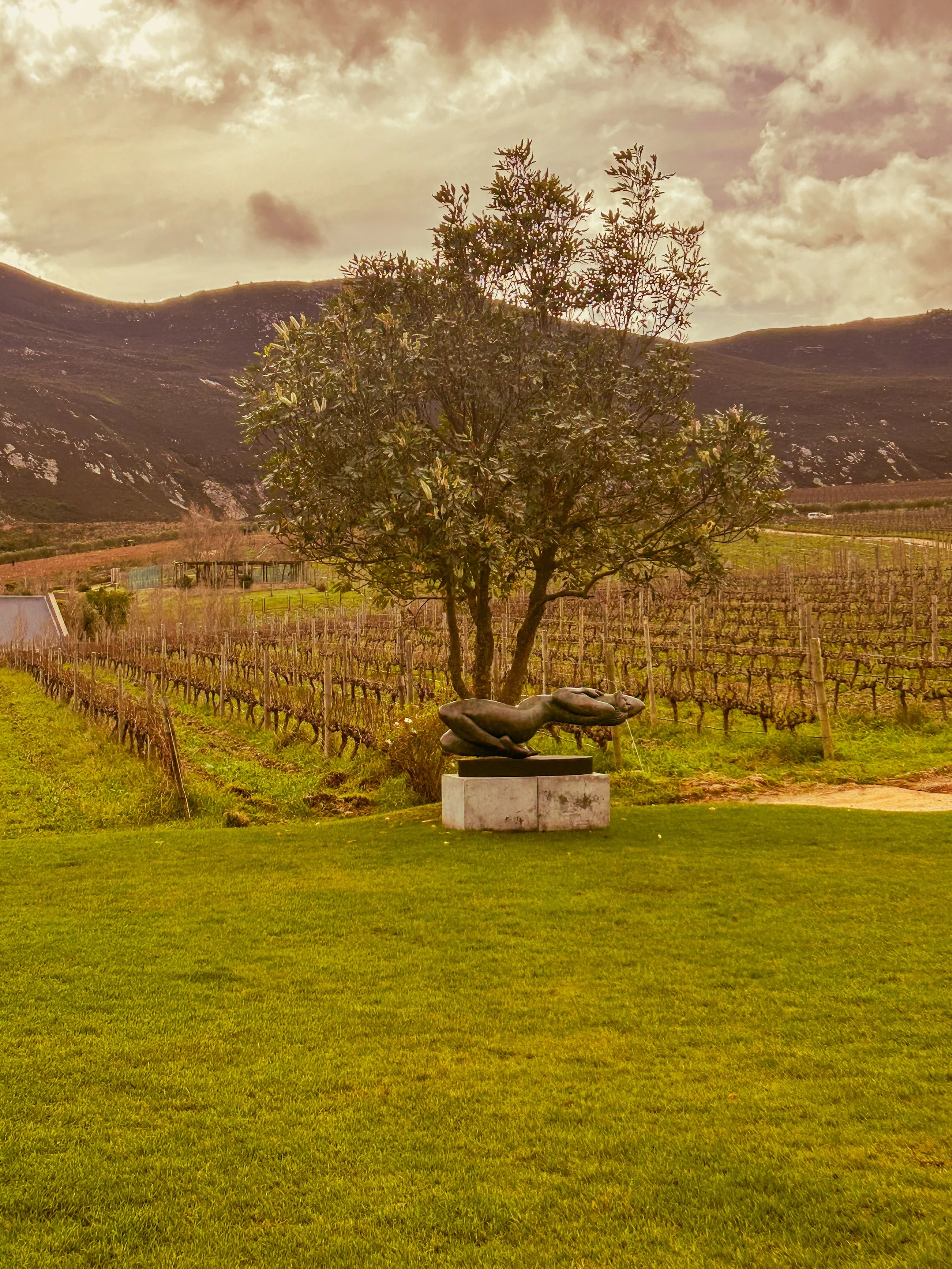 Art sculpture at Creation in Hemel-en-Aarde South Africa