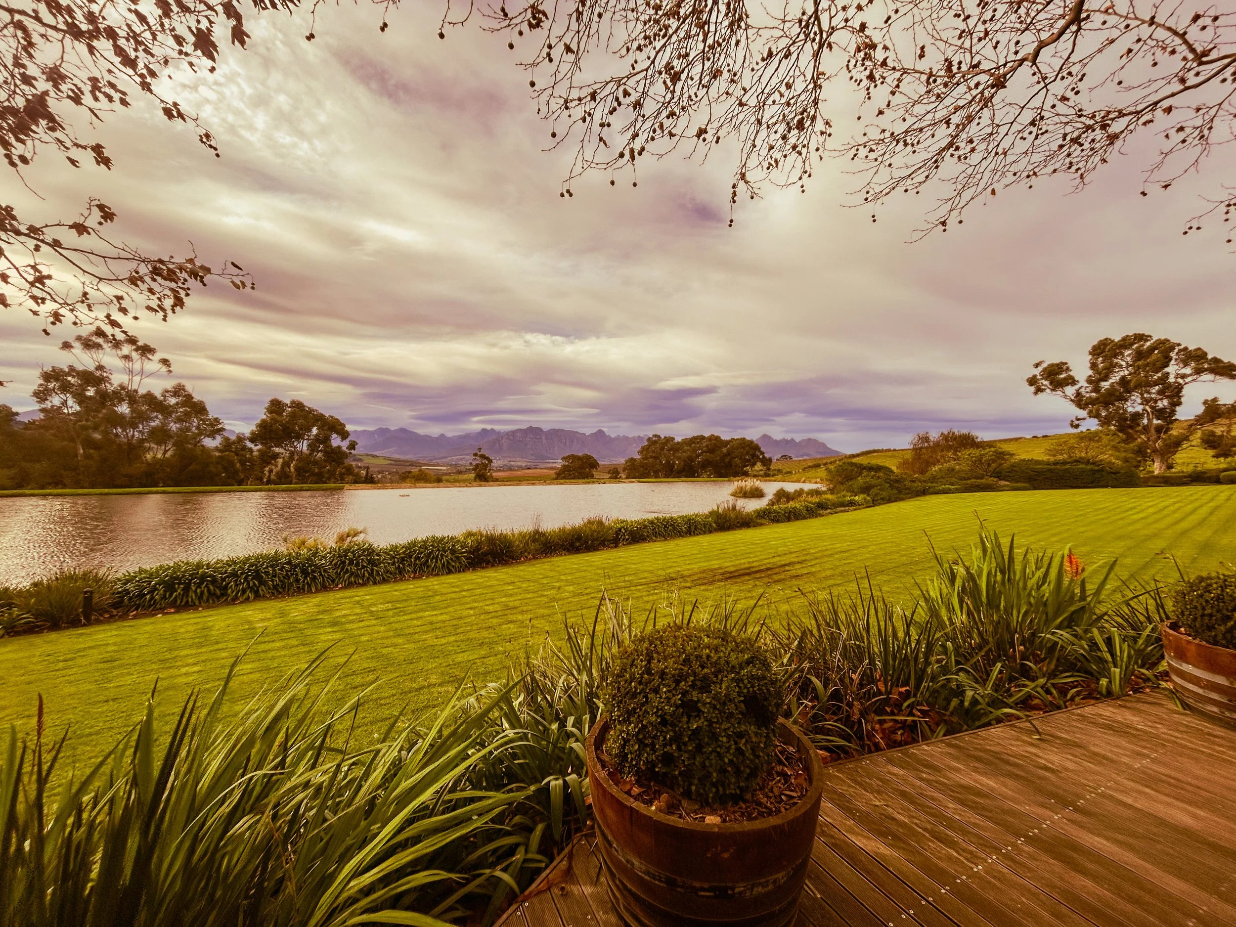 View from the tasting room at Jordan in Stellenbosch, South Africa