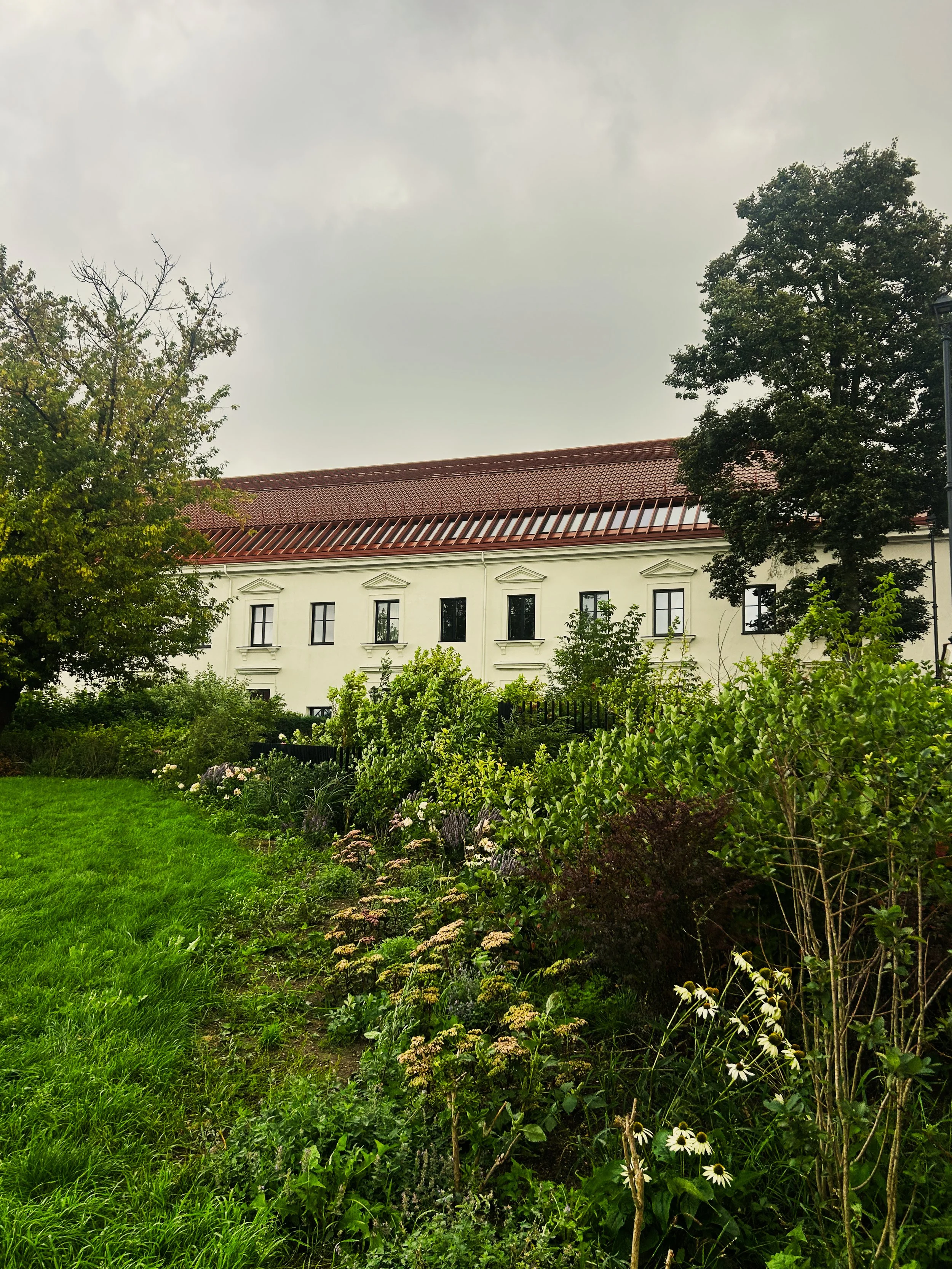 IMG_8487.jpeg
