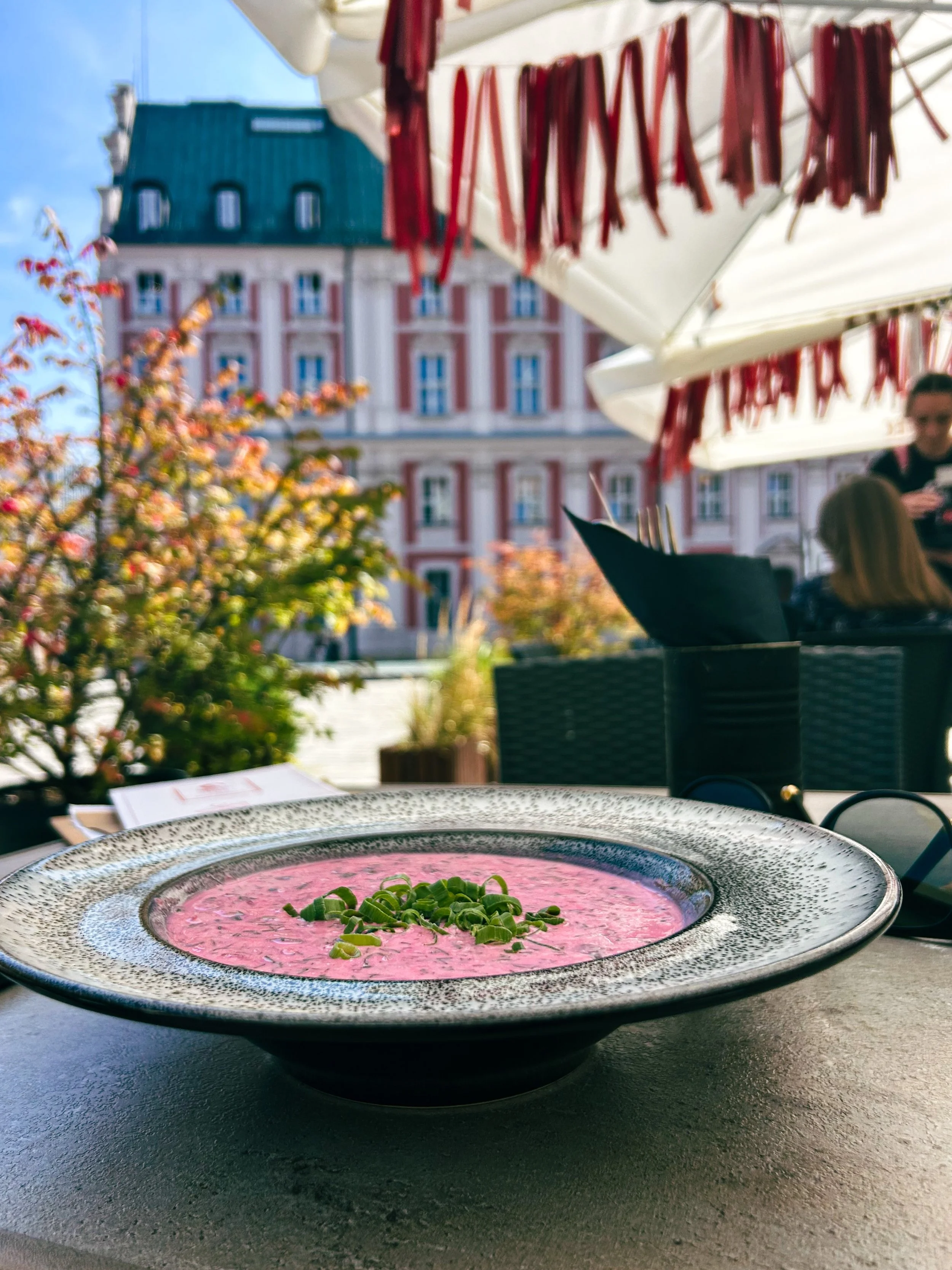PAIRINGS | Tessera x Taste
 &ldquo;I am imploring us to consider the alternative scenic route, the one that cuts straight through the heart of our imagination.&rdquo; from Tessera Ed. 80: An Alternative Scenic Route 

TESSERA Ed. 80 x the soups that 