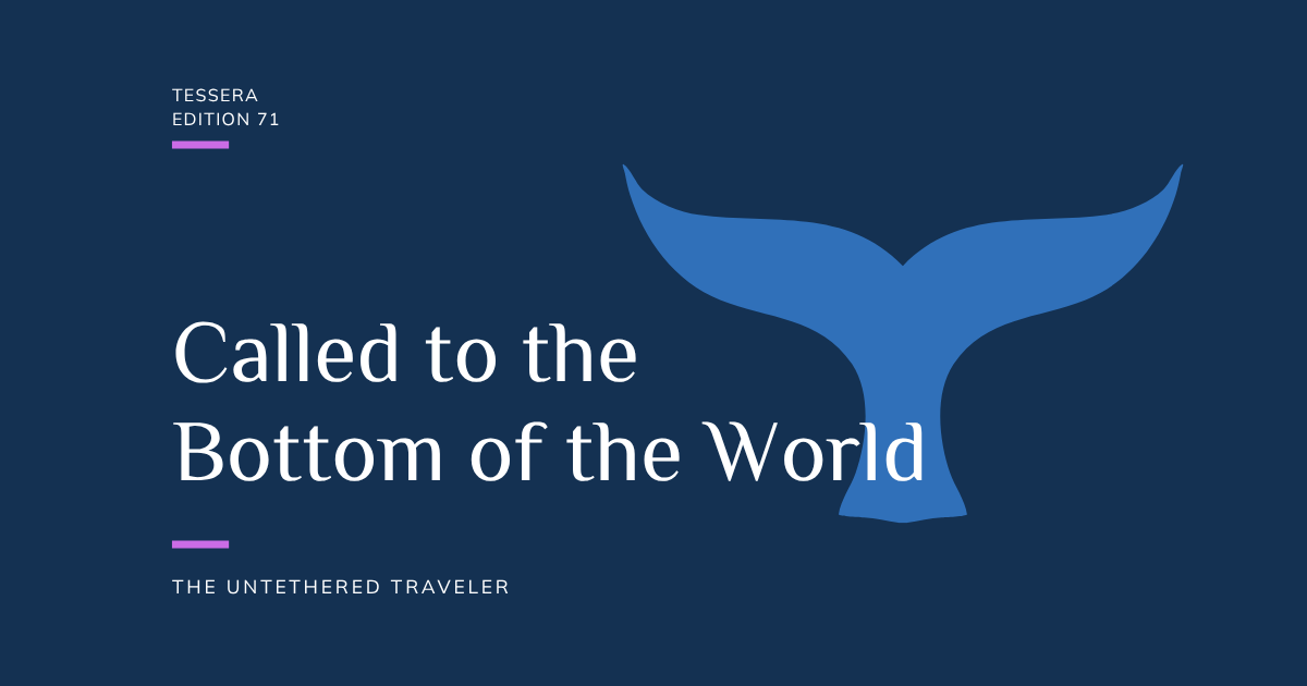 Title graphic navy blue with whale