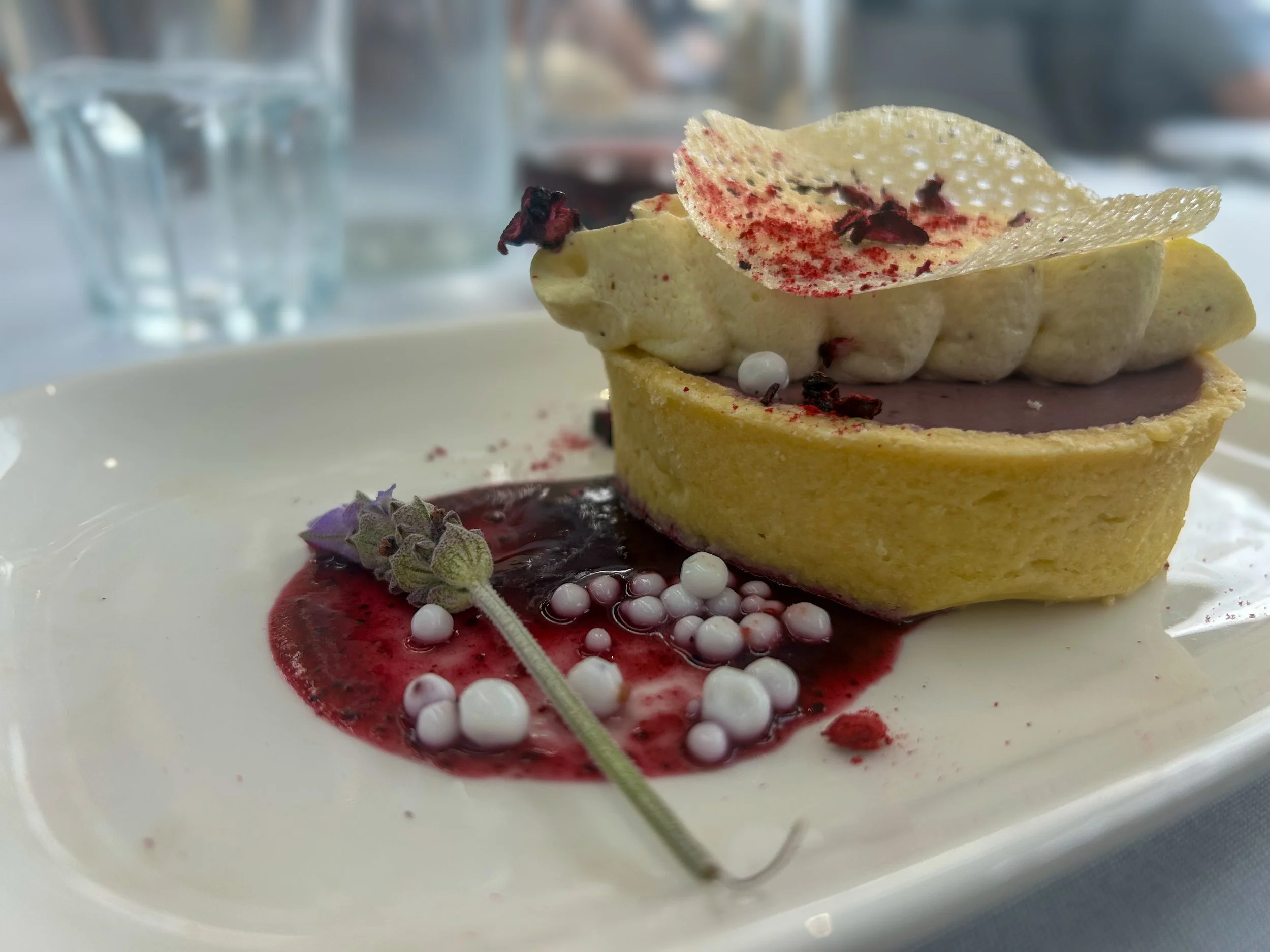 blueberry tart dessert on the TranzAlpine train