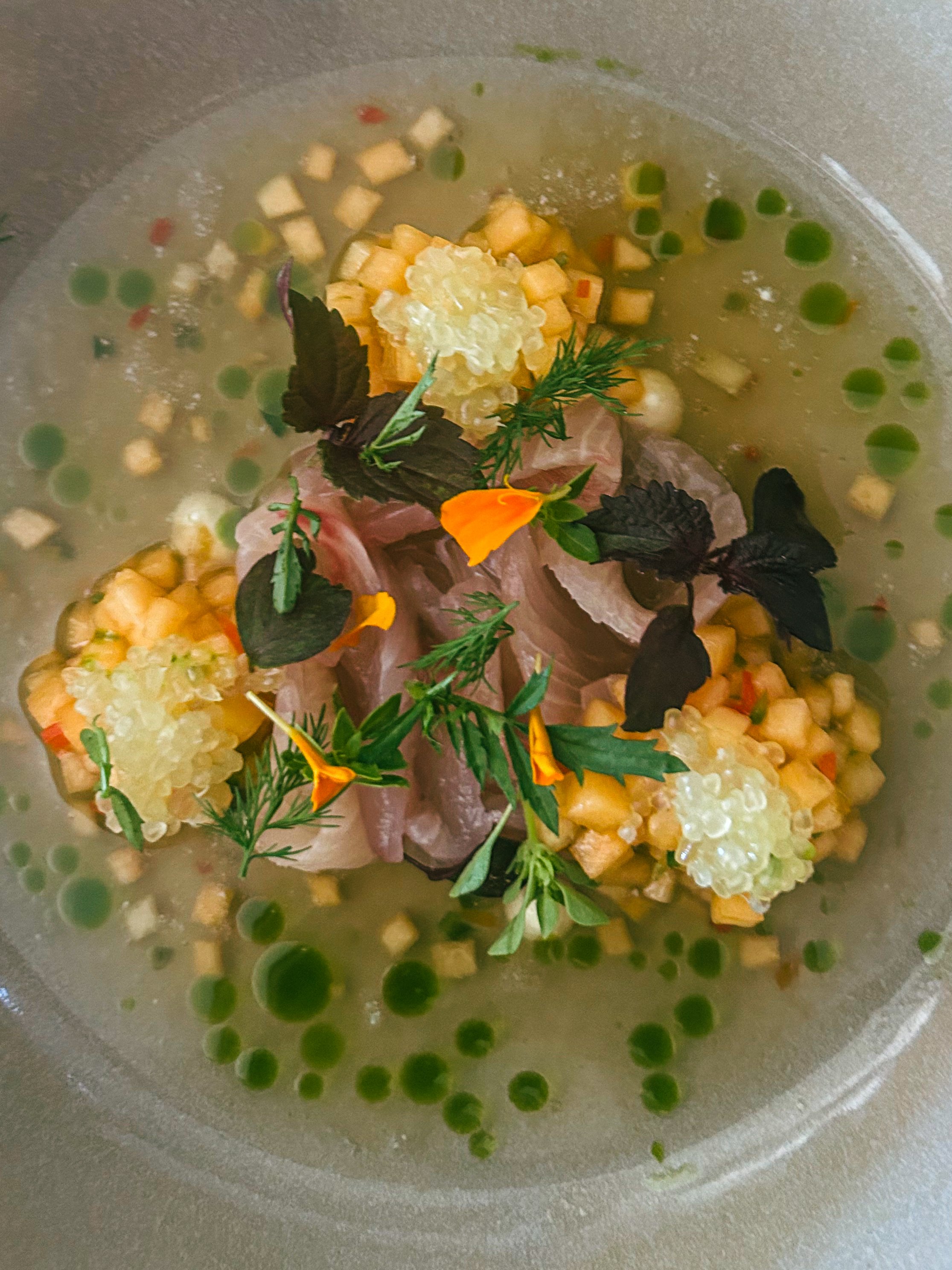 The Kingfish Crudo at Londo in Christchurch, New Zealand