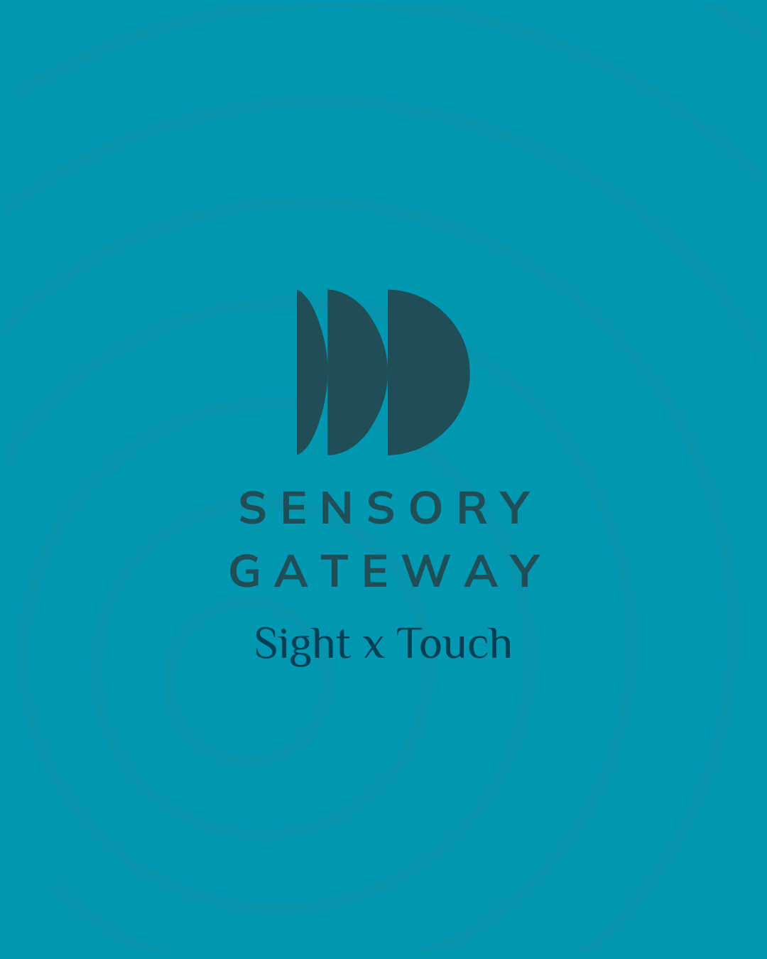sensory-gateway-dual-sight-touch.png