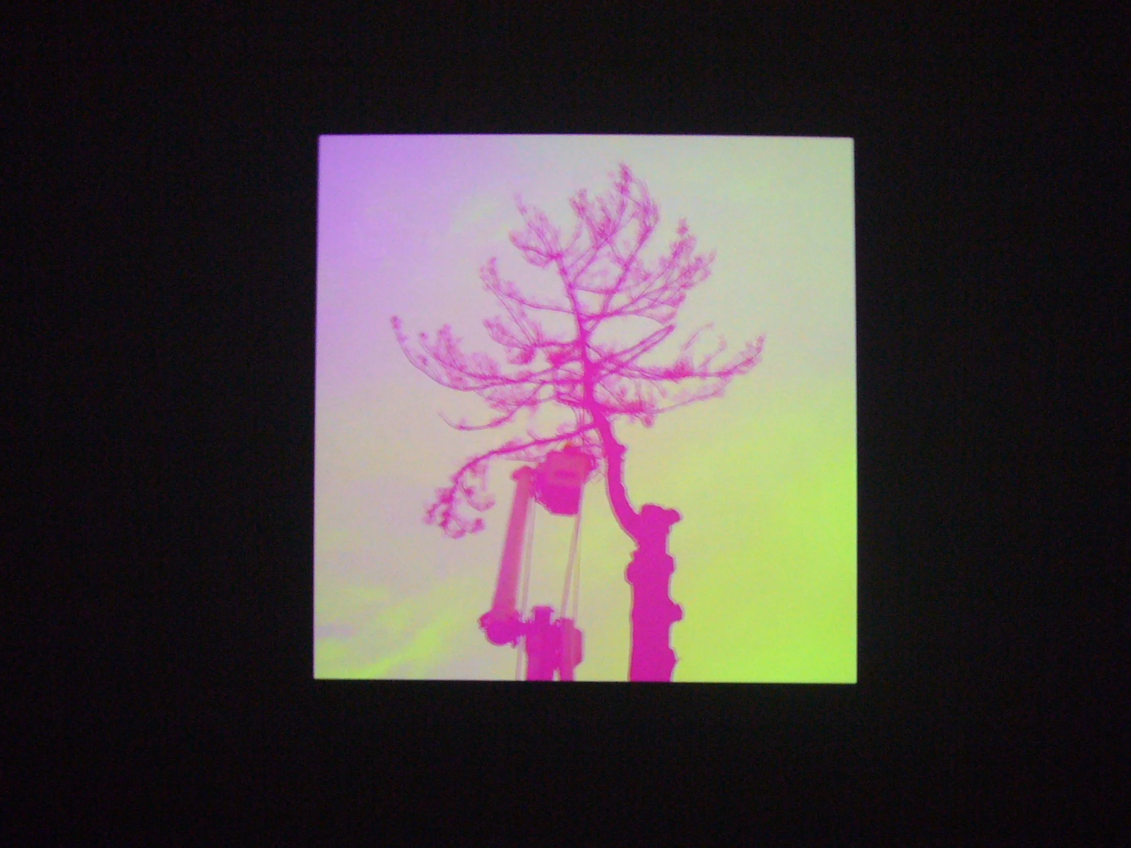 SpiritoftheSignalInstallview42FULL.jpg