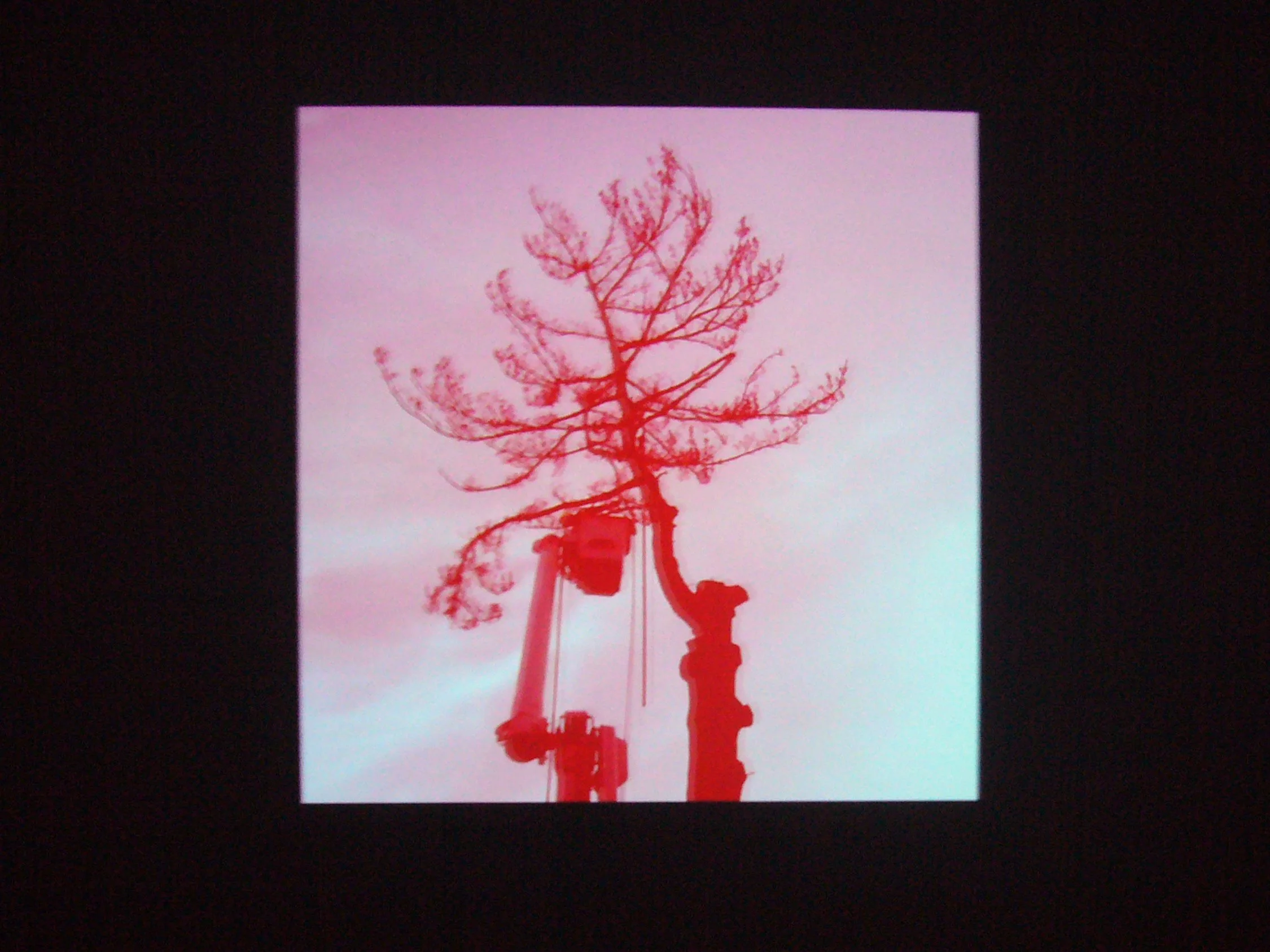 SpiritoftheSignalInstallview40FULL.jpg