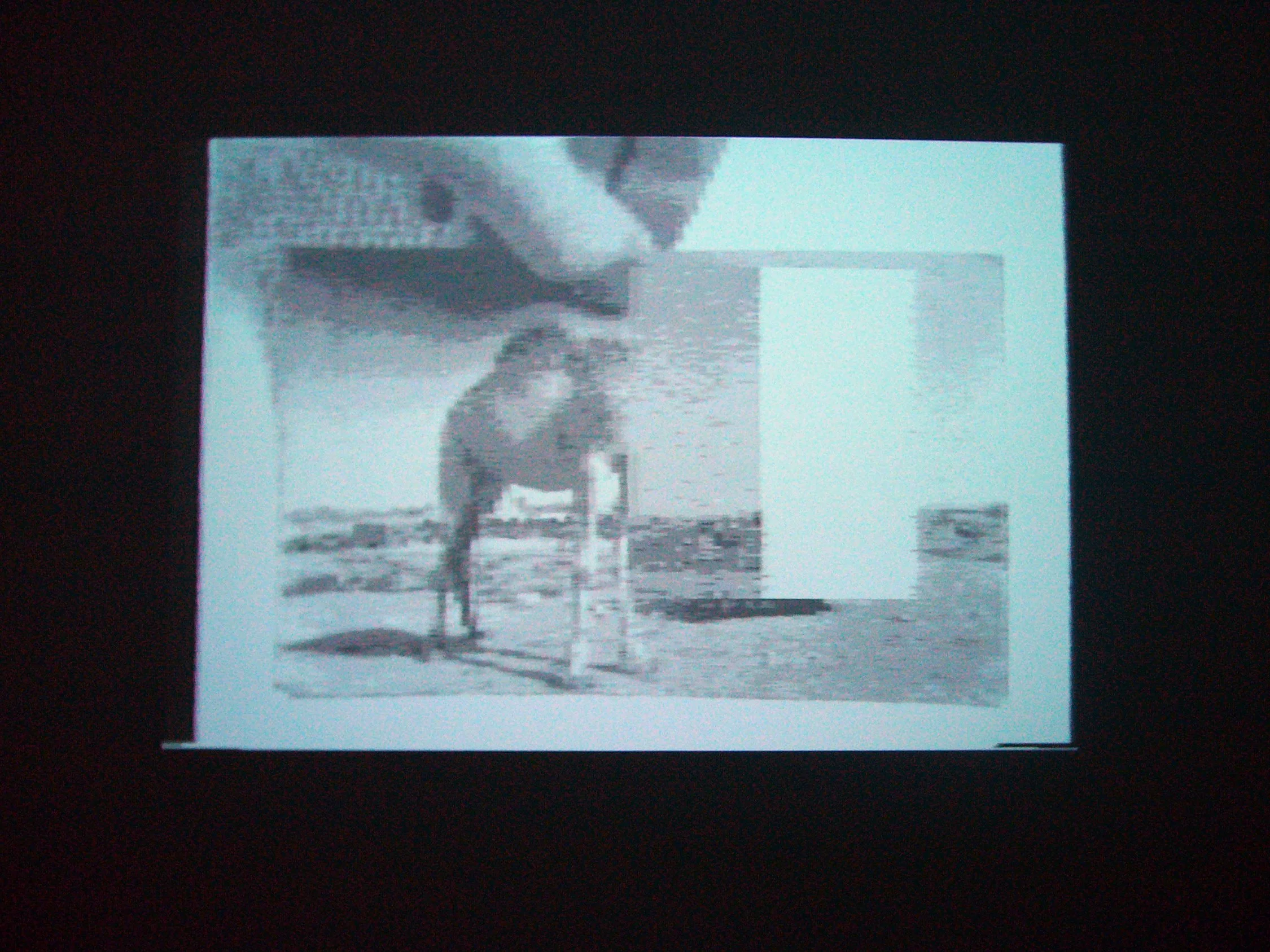 SpiritoftheSignalInstallview56FULL.jpg