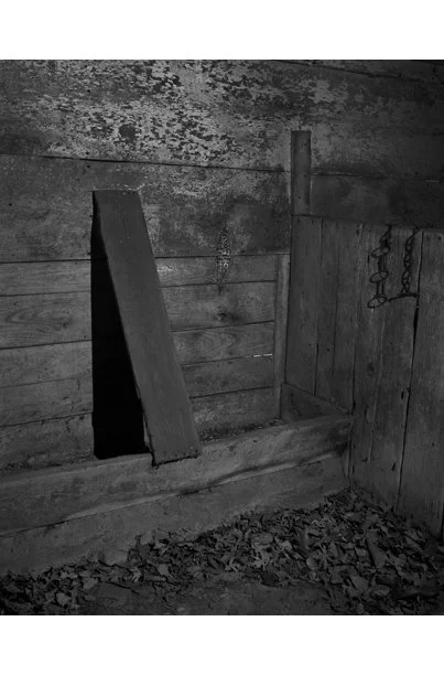 Wood Plank 1.jpg