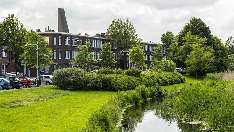 “Ik doe het niet voor het klimaat. Ik doe het omdat het logisch is.”
