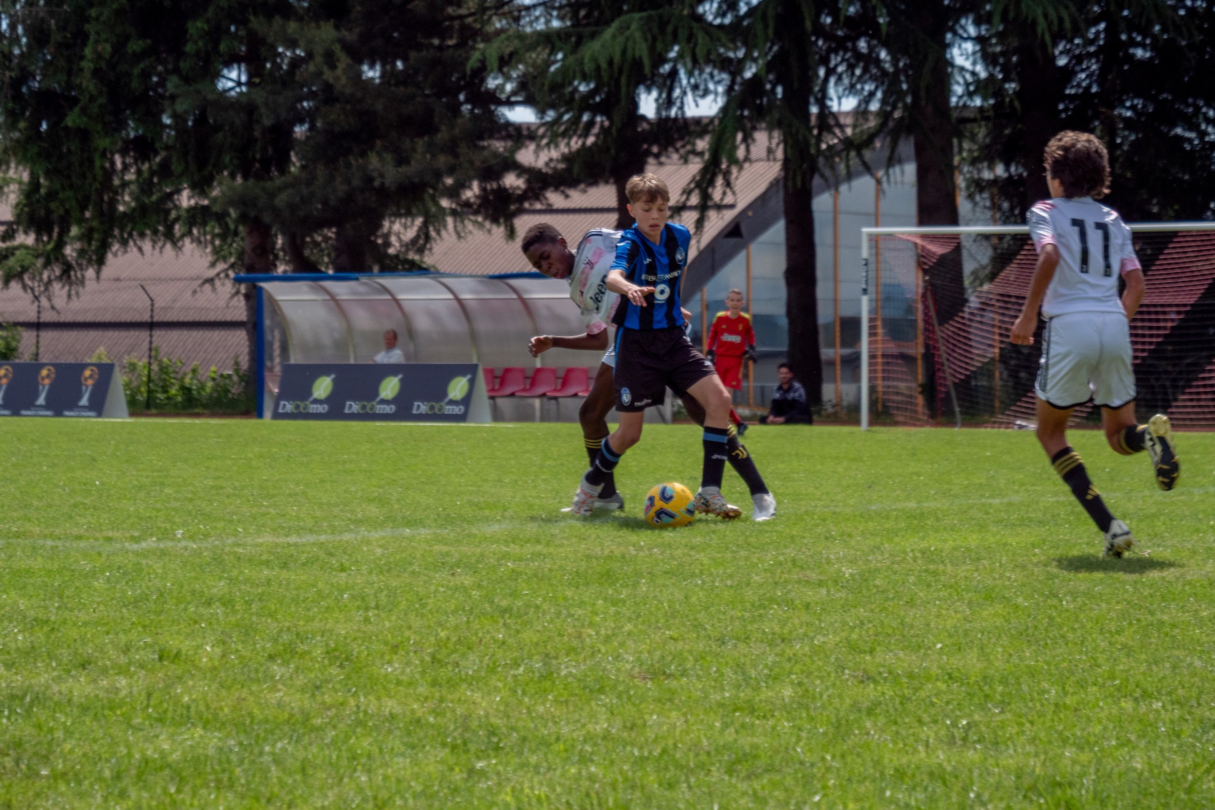 P1944679.jpg