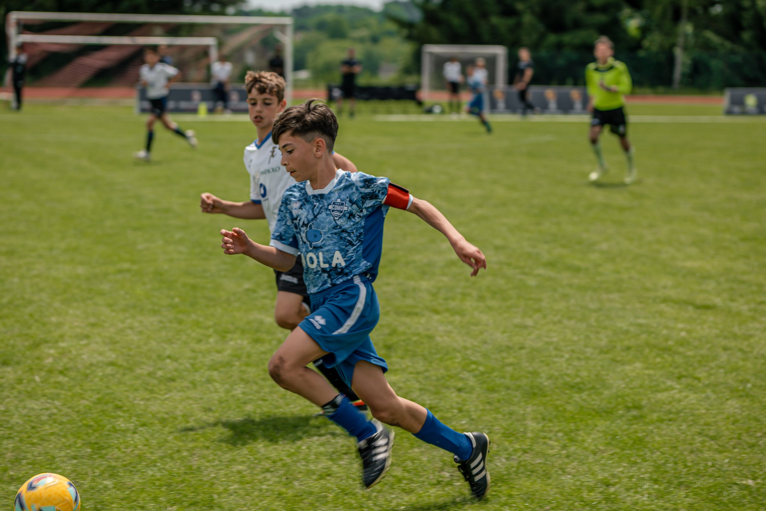 P1137364.jpg