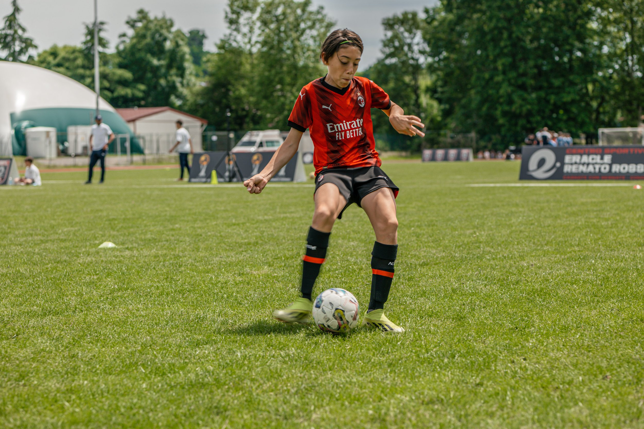 P1137332.jpg