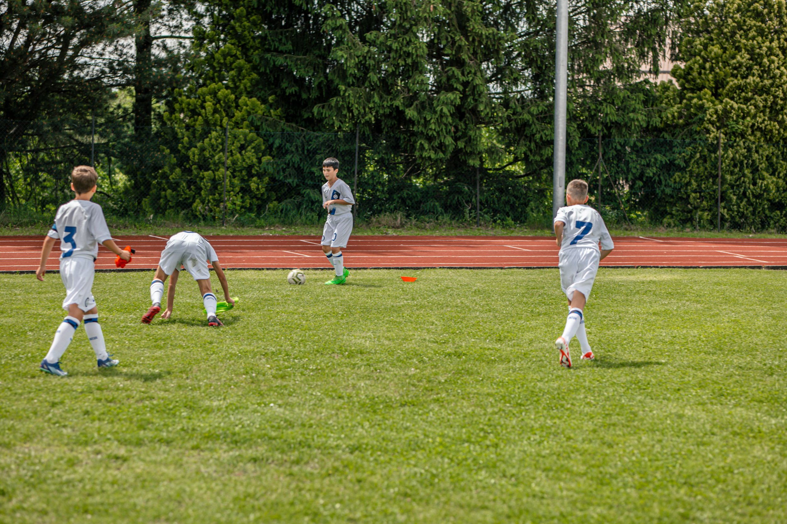 P1137397.jpg