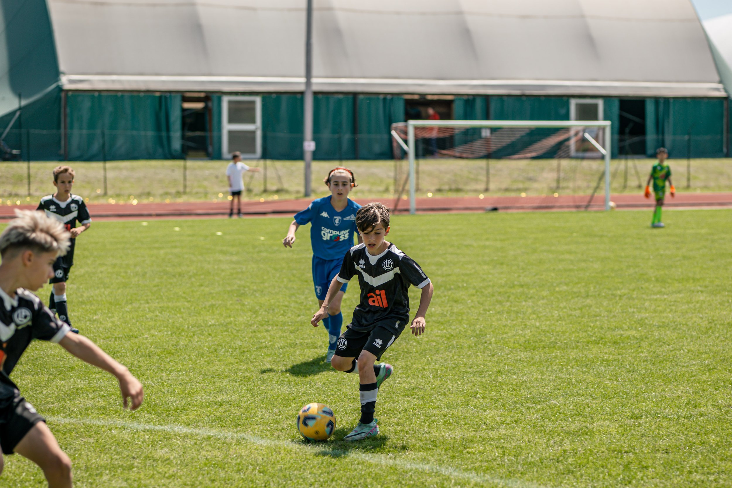 P1137168.jpg