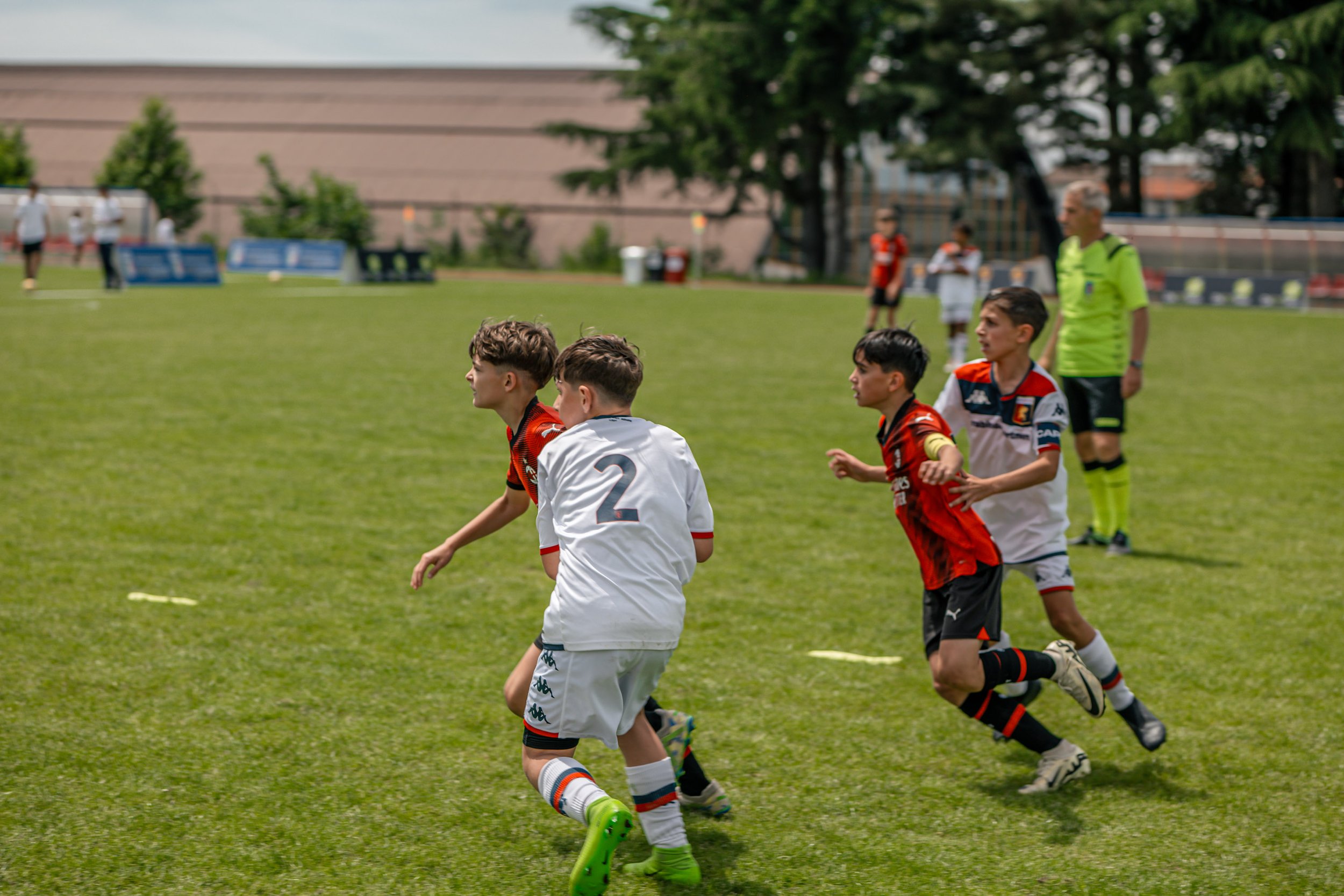 P1137336.jpg