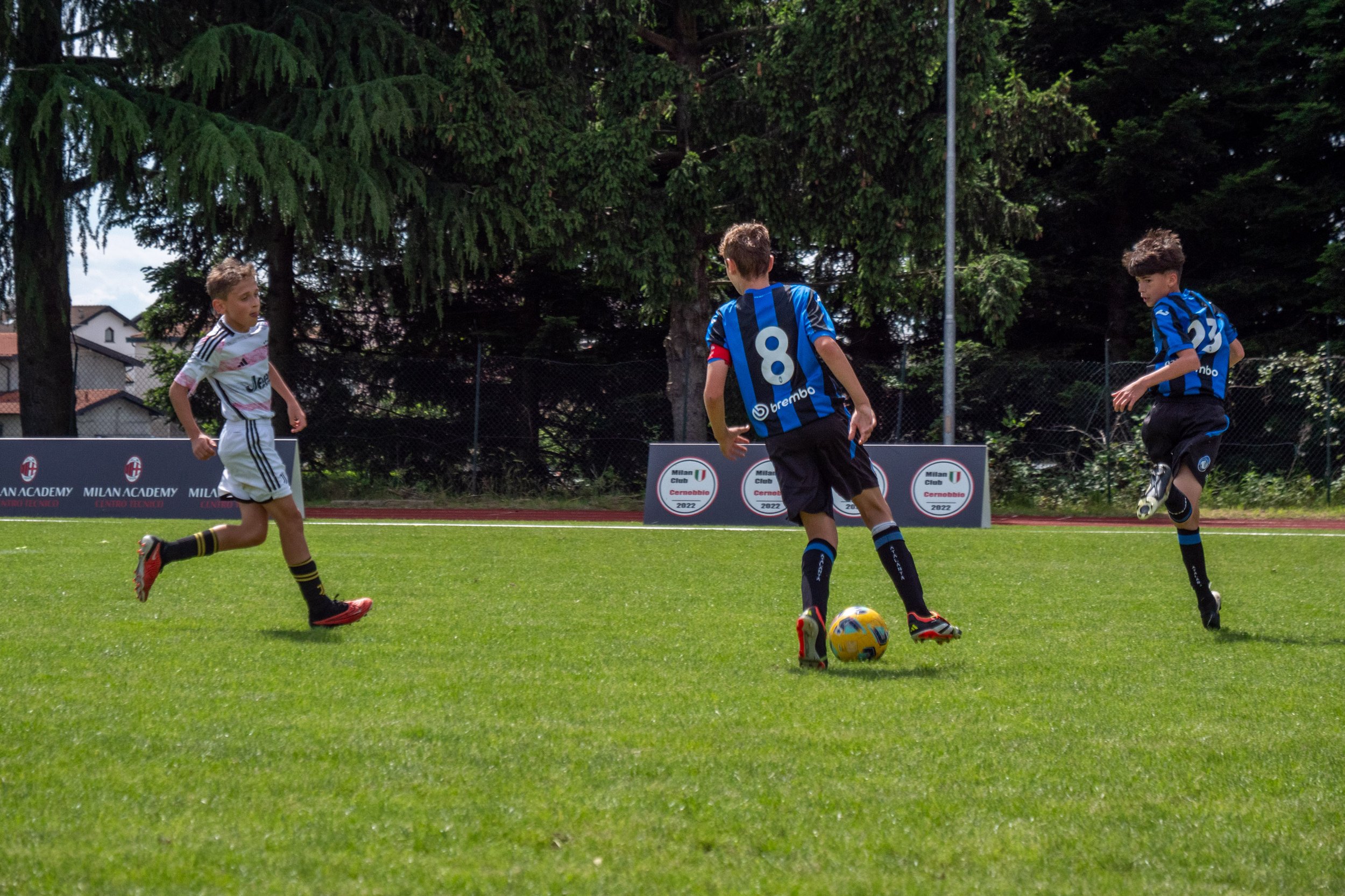 P1944663.jpg