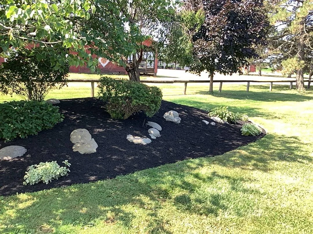 Black mulch island bed with boulders and shrubs under shade trees — Genesee Valley Landscape