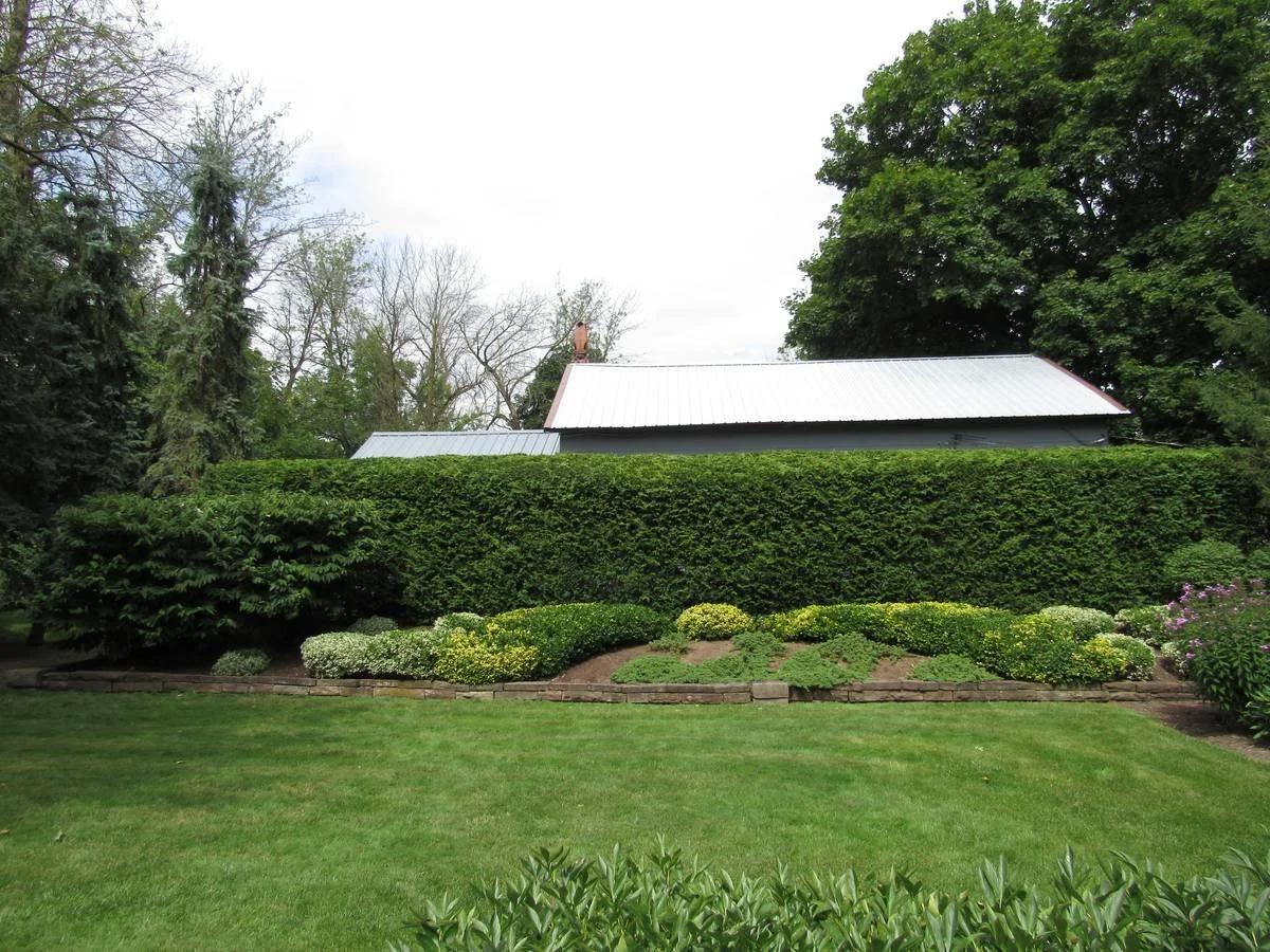 Mowed lawn in front of a sandstone-edged shrub bed and tall clipped arborvitae hedge — Genesee Valley Landscape