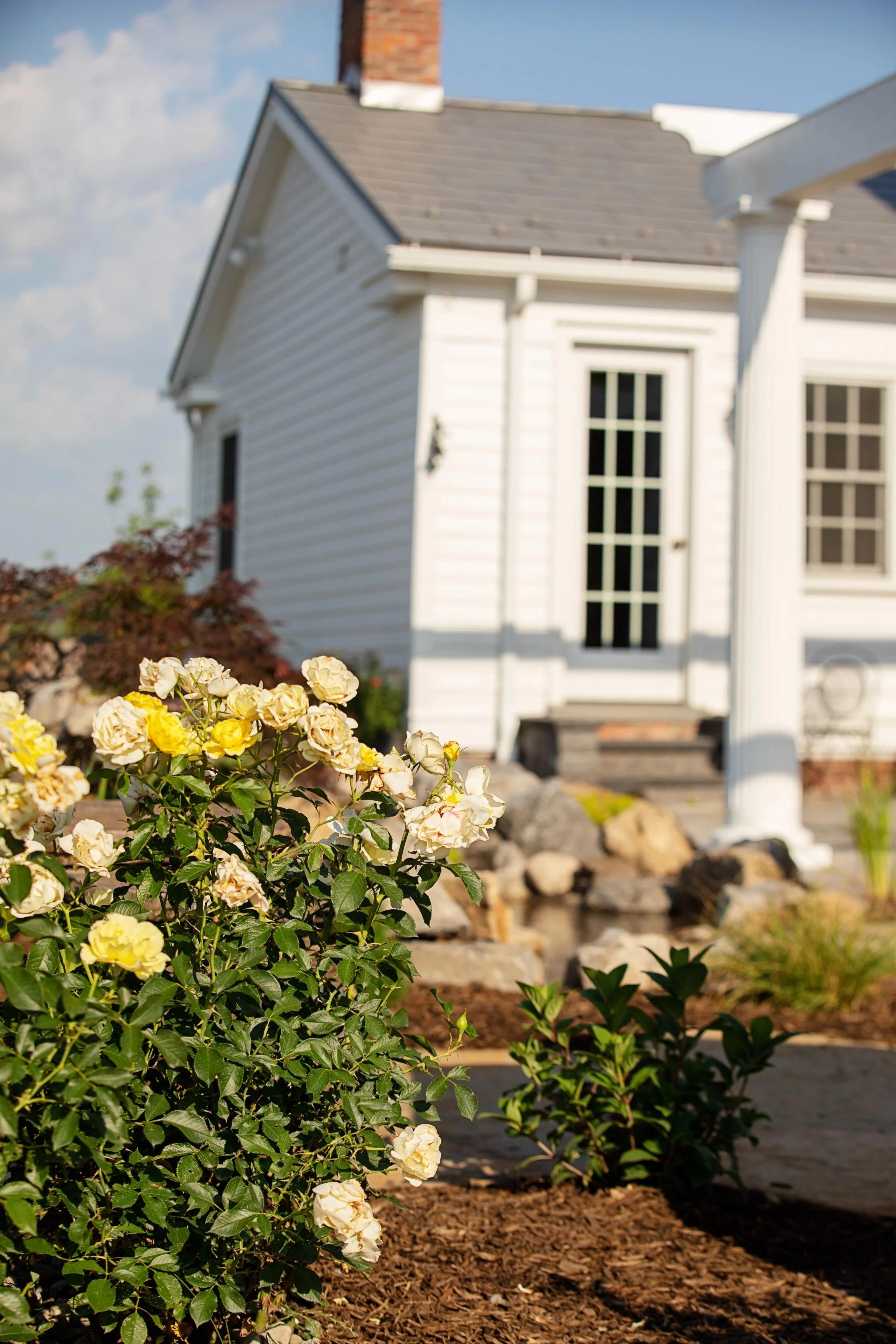 Year-Round Beauty in Piffard
