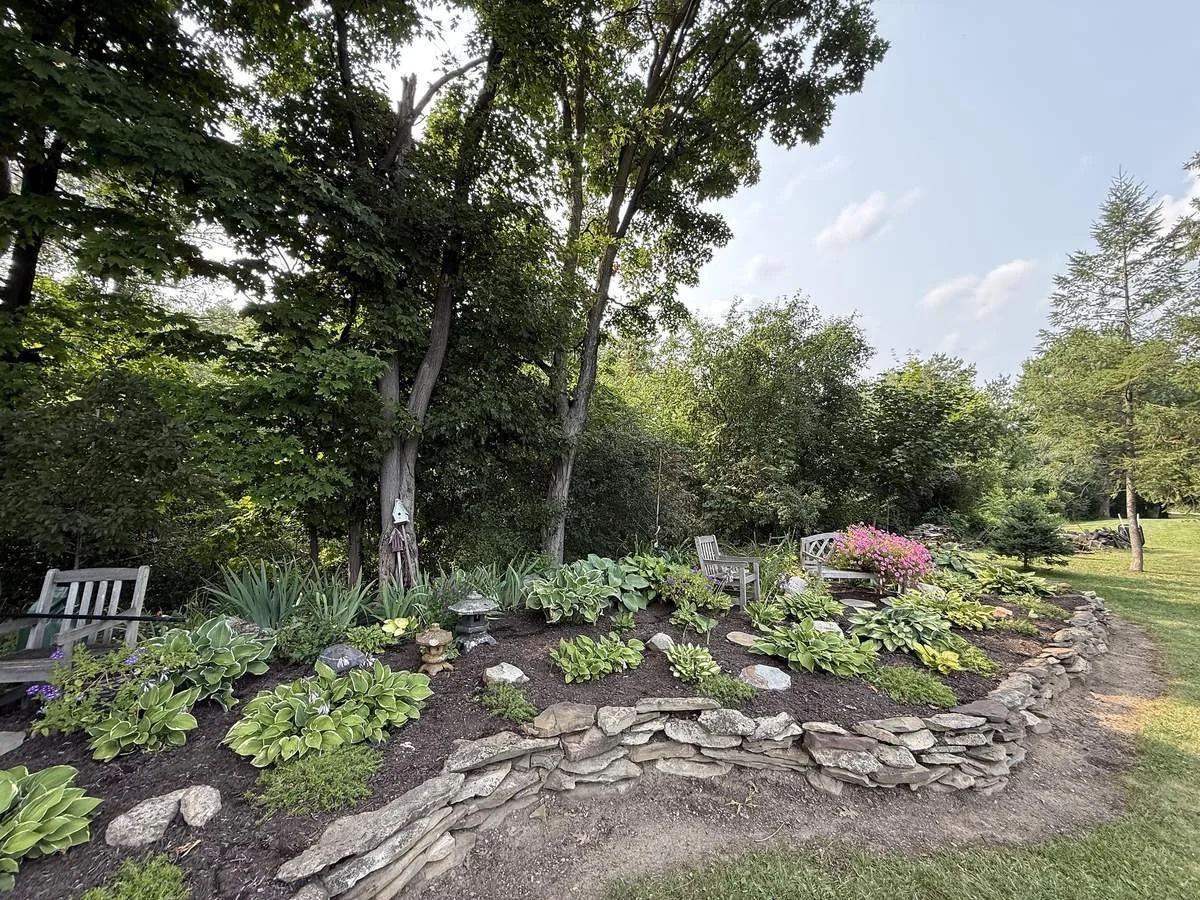 Hosta shade garden with dry stacked stone edging and garden benches under trees — Genesee Valley Landscape
