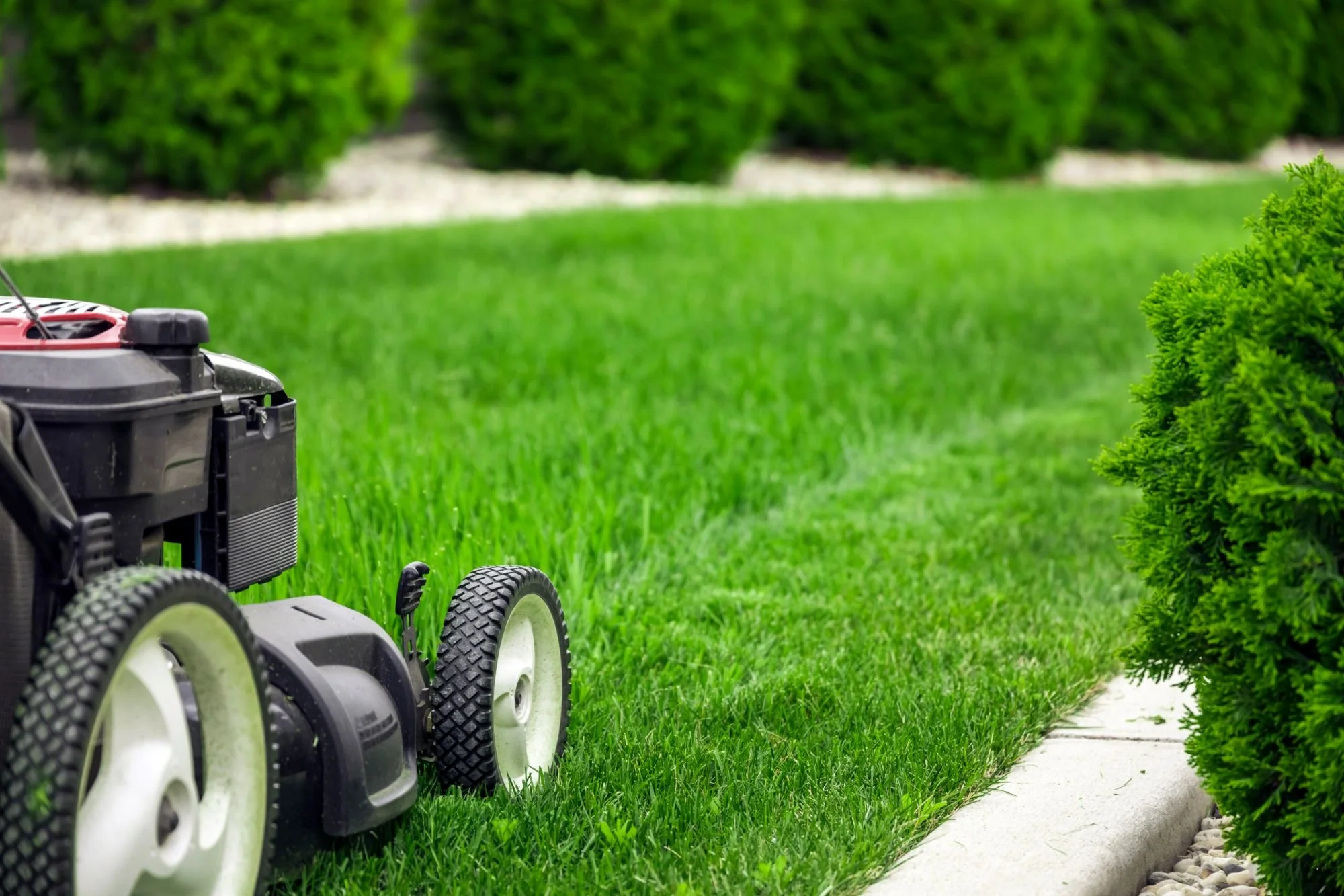 Professional lawn mowing with clean edging in Lima, NY