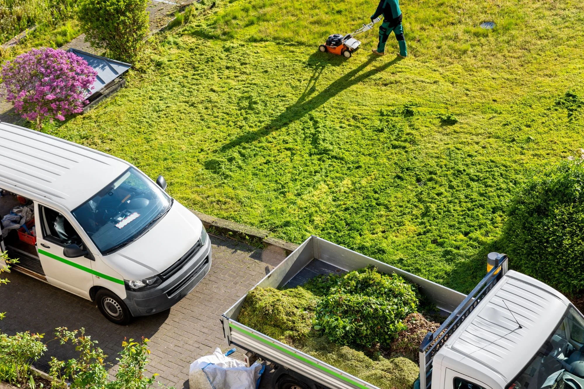 residential lawn care and maintenance in Dansville NY