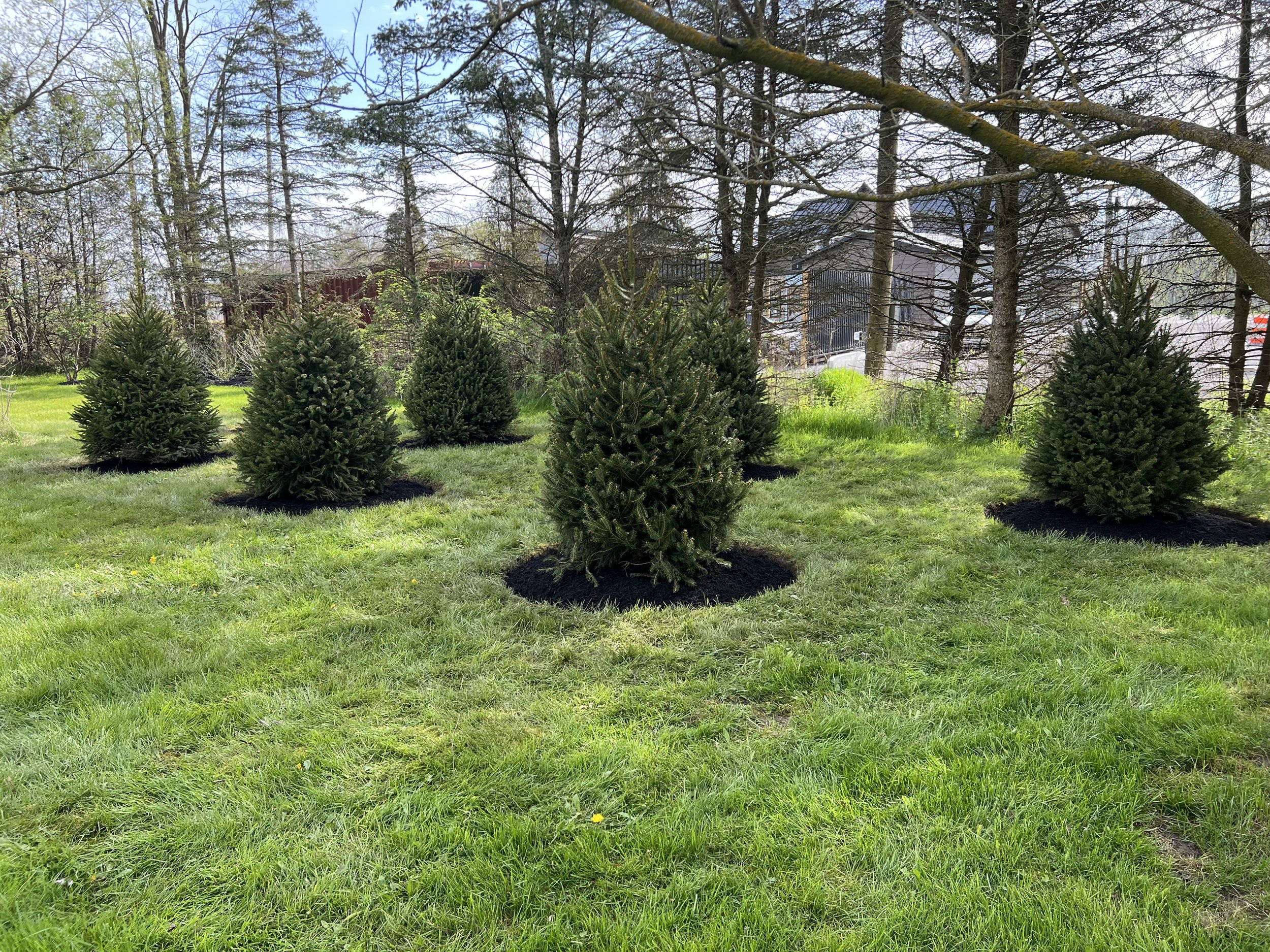 commercial landscaping wyoming county ny