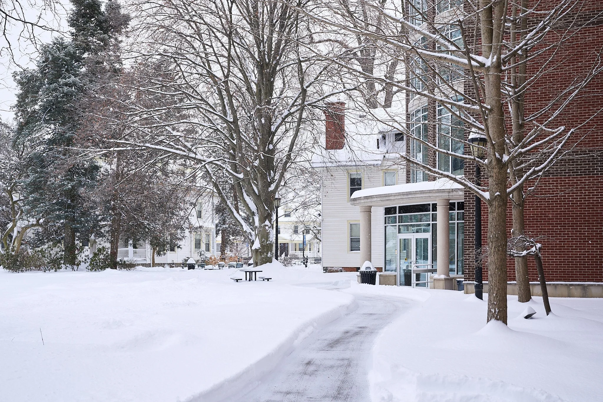 Snow Mold, Salt Burn &amp; Turf Recovery: Preparing Your Commercial Property for Spring