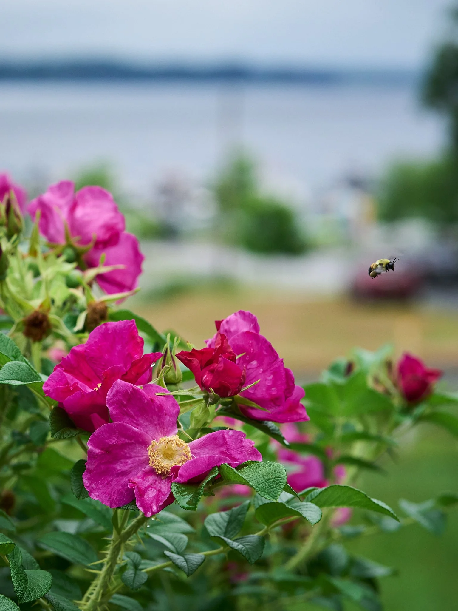 Spring Landscaping Checklist for Commercial Properties