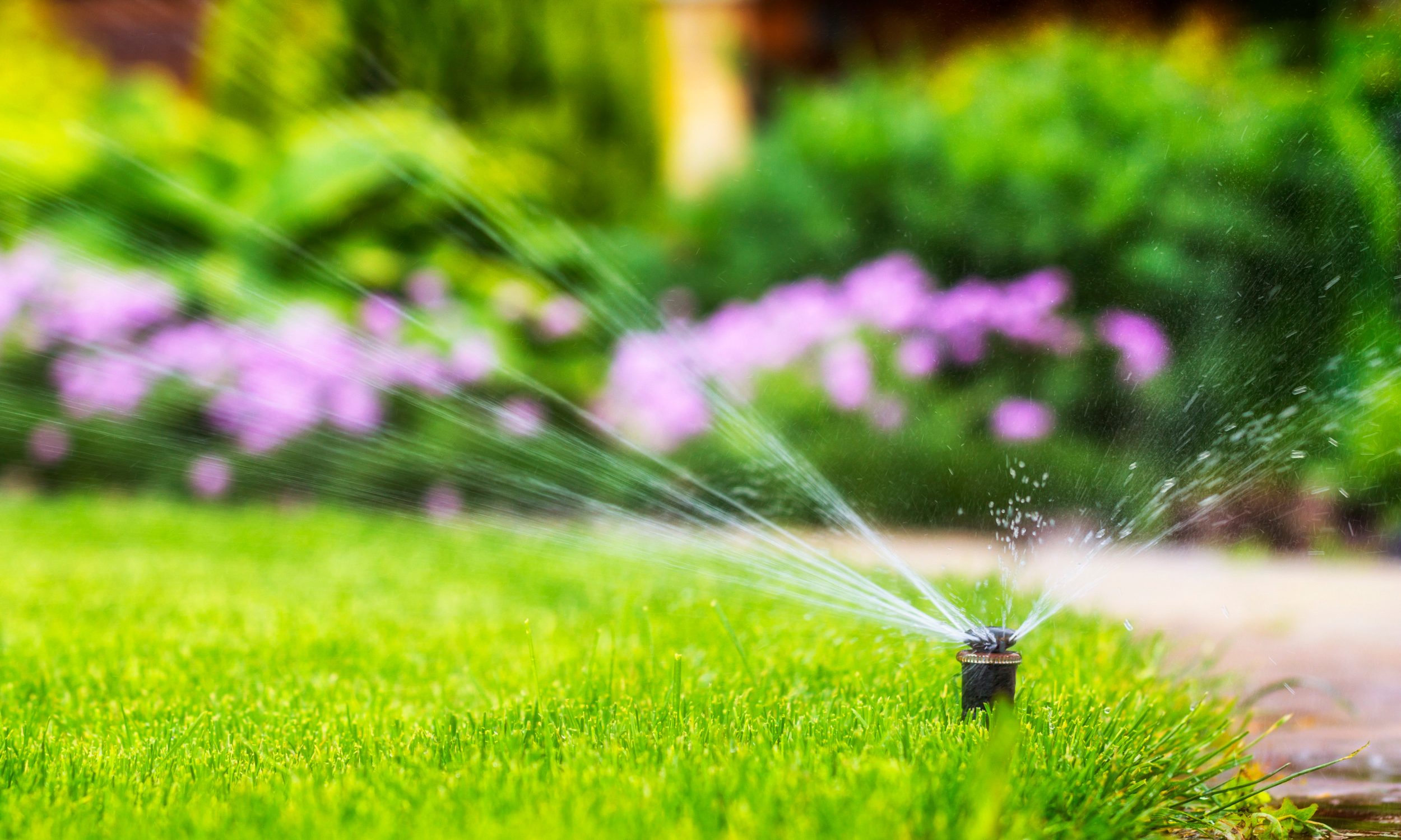 How to Water Your Lawn in the Summer: A Guide for HOA Residents