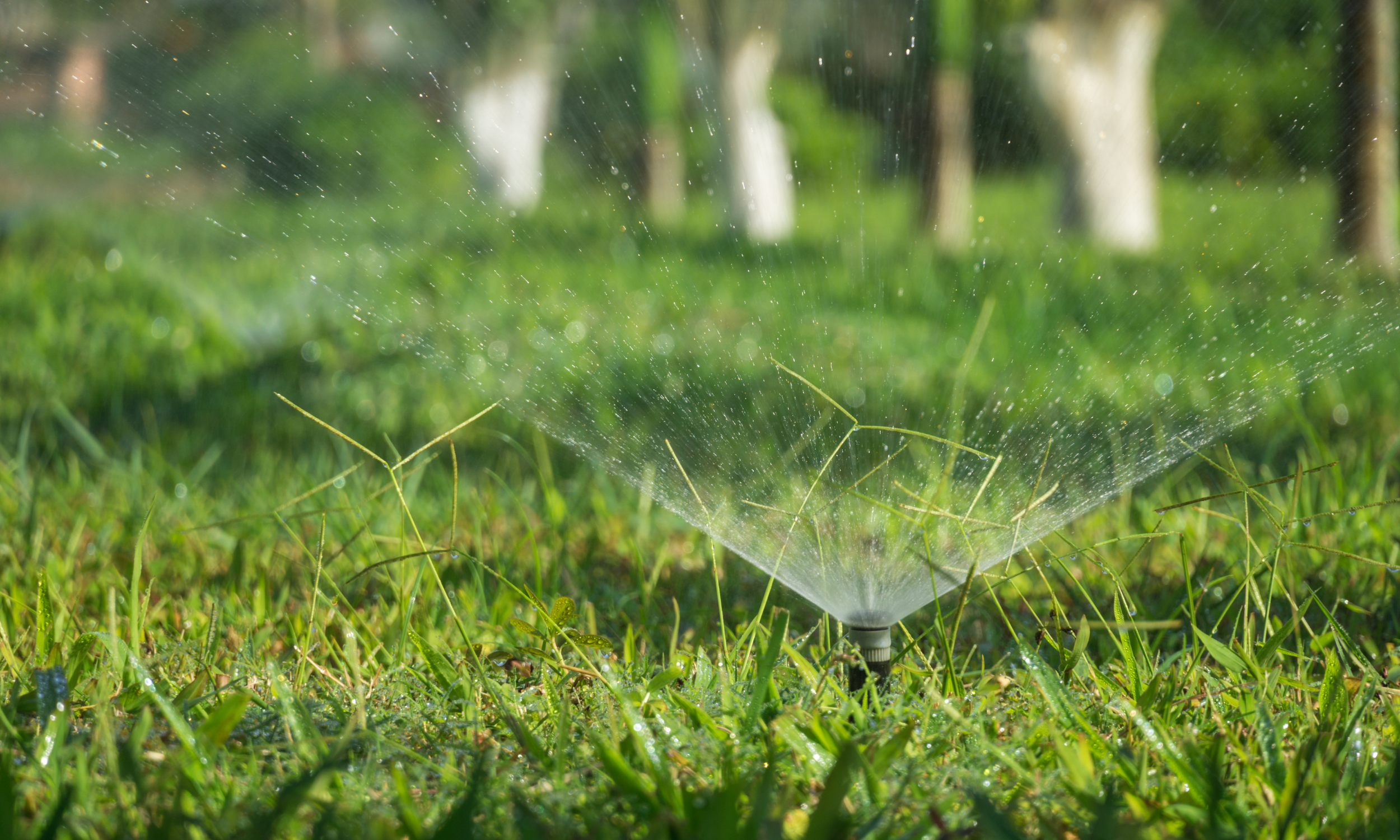Smart Irrigation for Commercial Properties: How Upgrading Now Cuts Water Costs This Summer