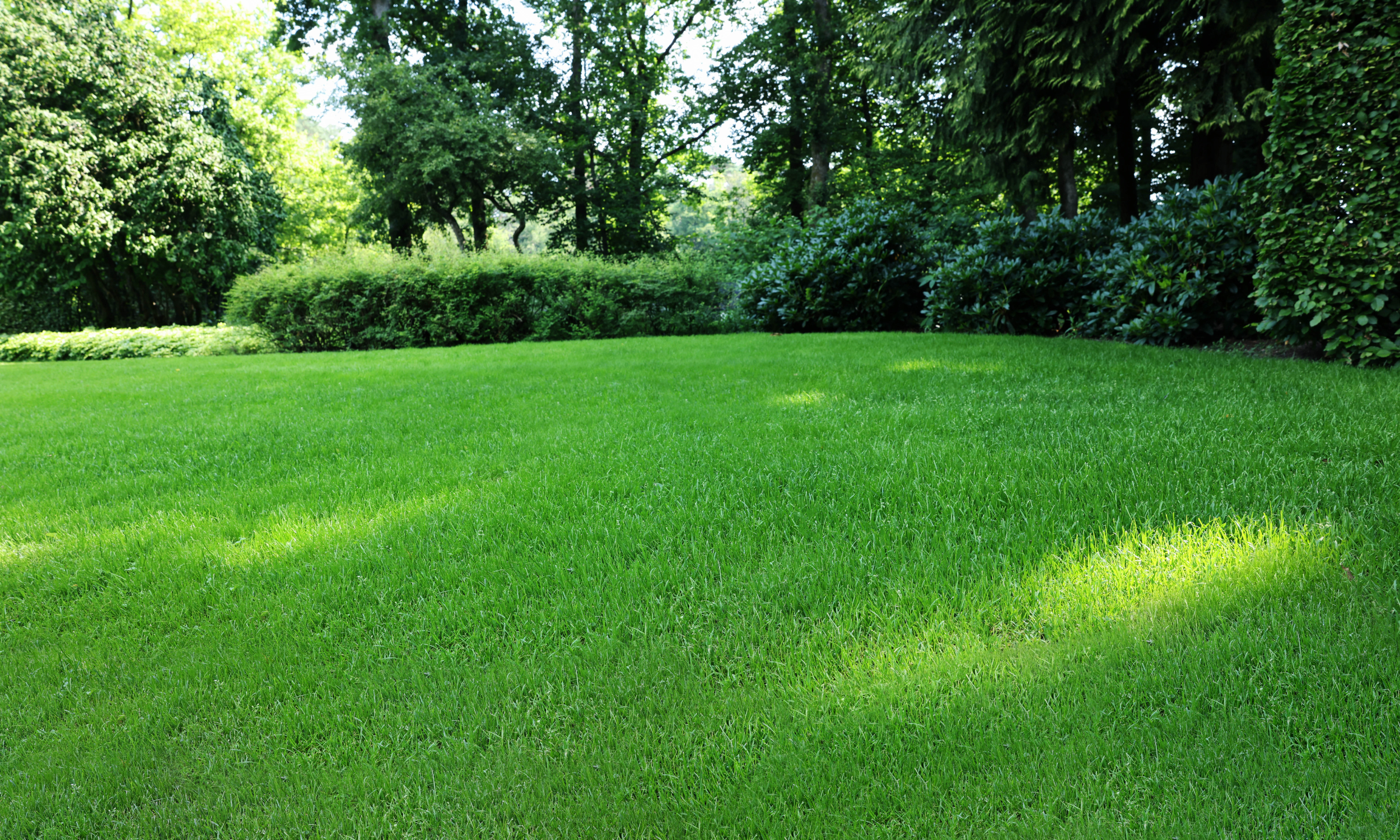 Late-Summer Lawn Care Tips for Northeast Properties