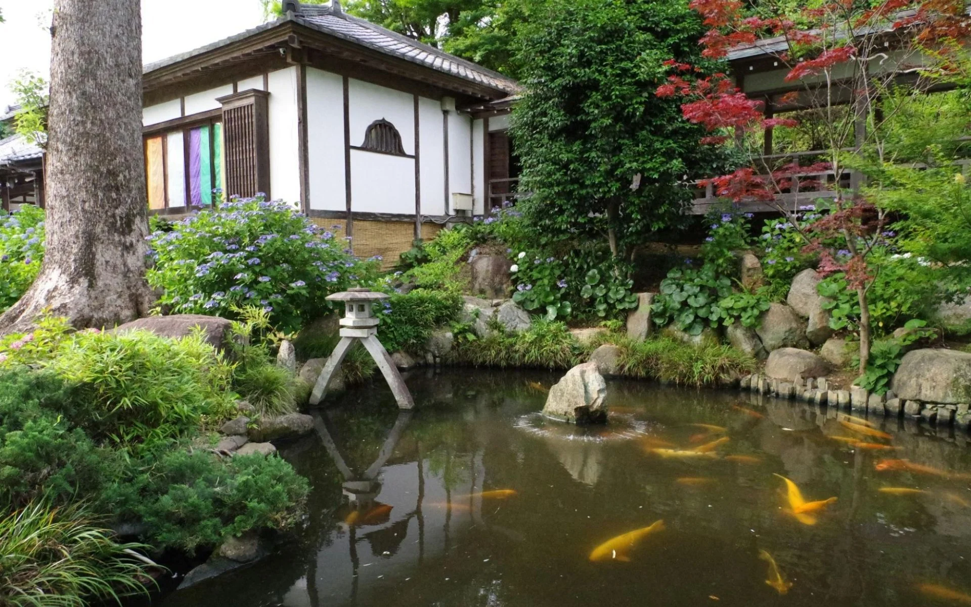 Top 7 Landscaping Mistakes to Avoid