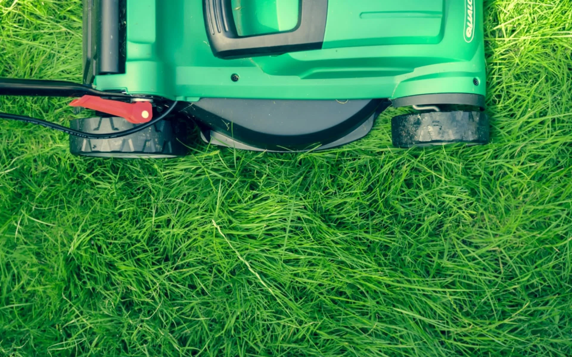 Landscaping for Beginners: Essential Tips to Get Started