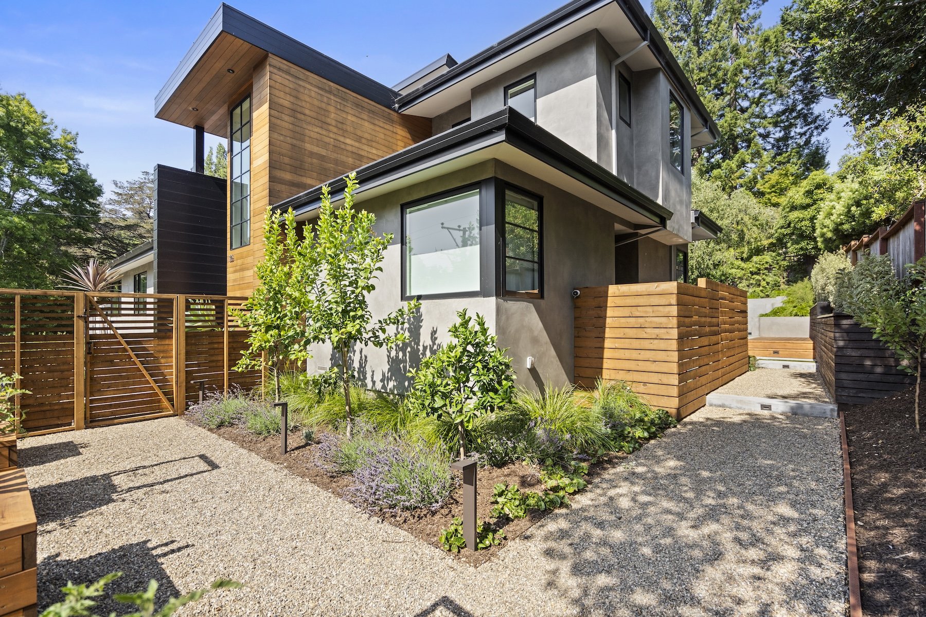 Modern home with plantings