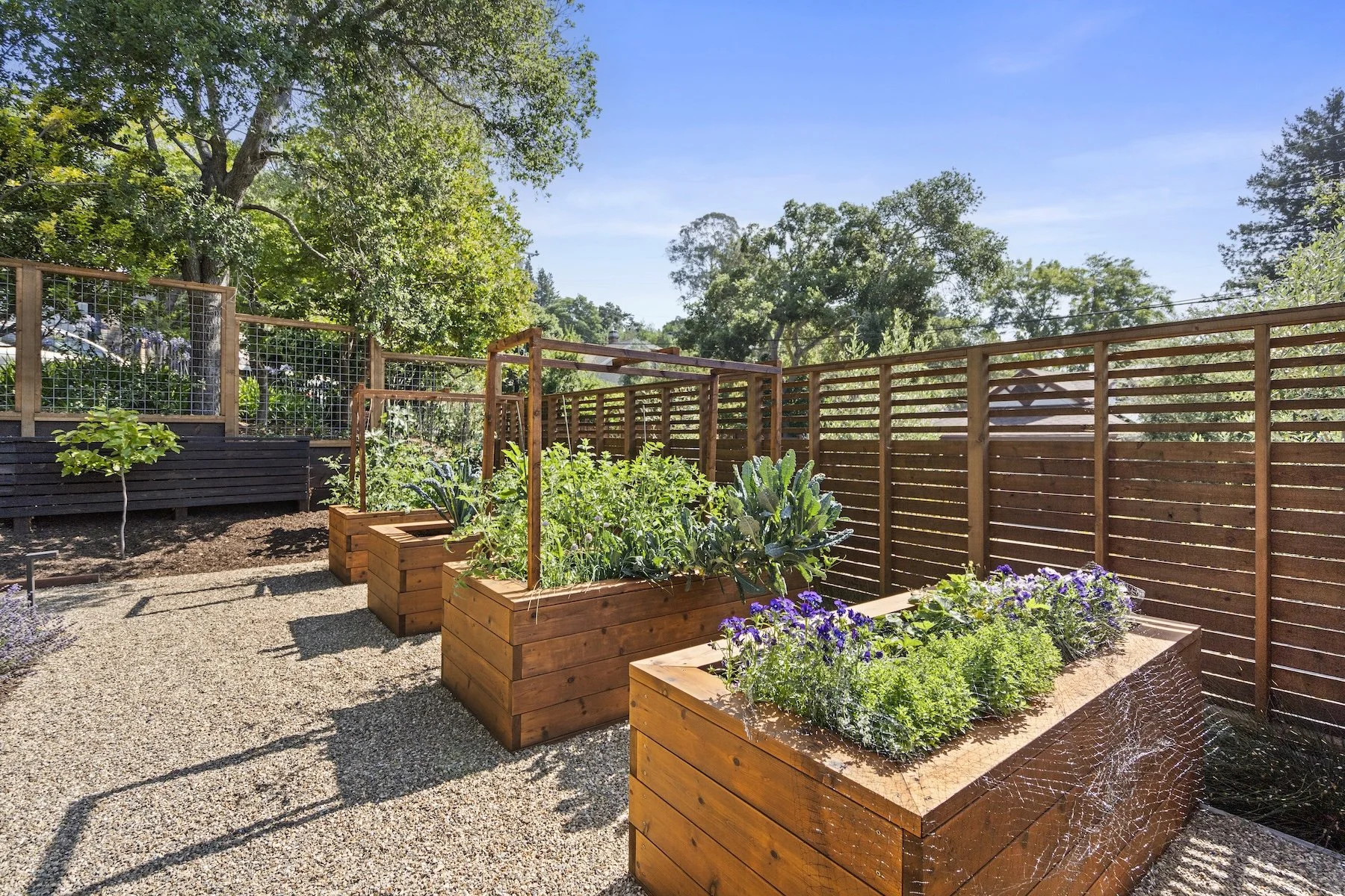 Raised planters and wooden wall in garden
