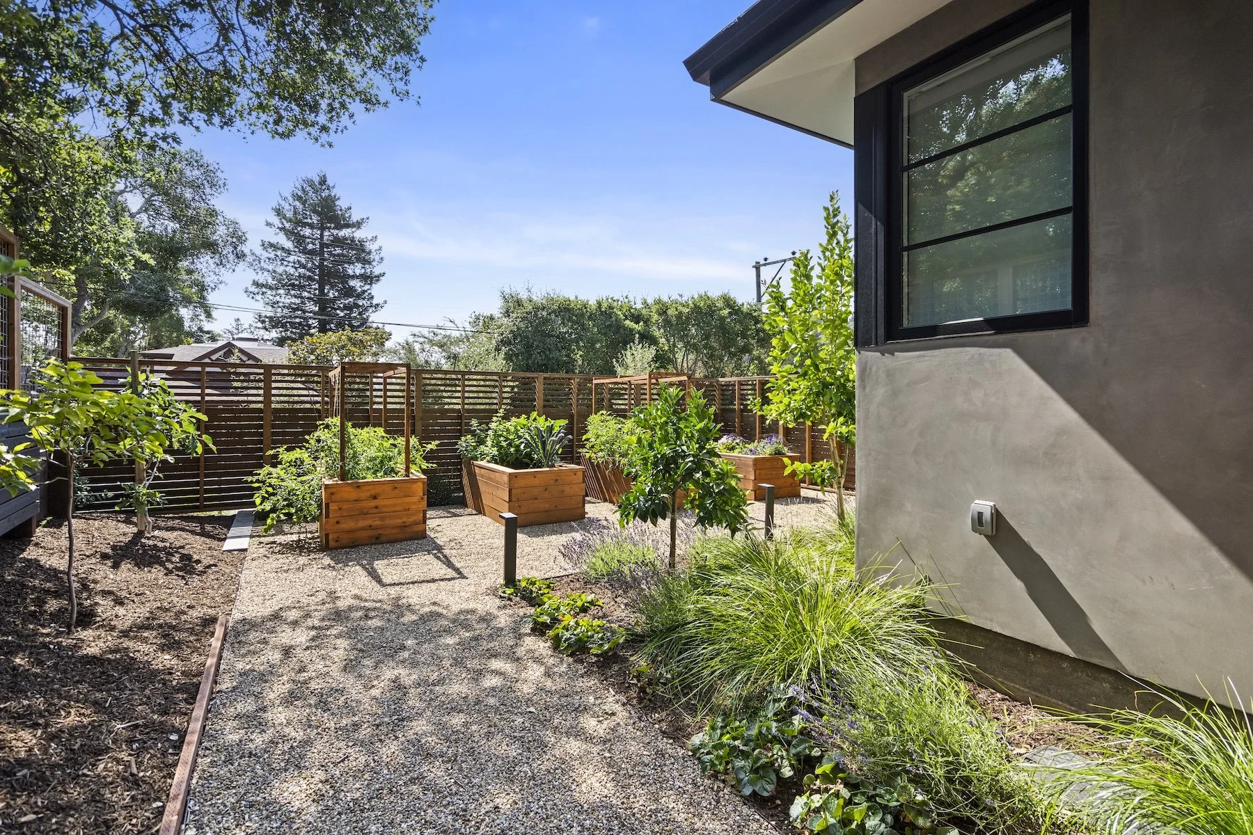 Pebble walkway with mulch garden beds, raised wooden planters and growing vegetables