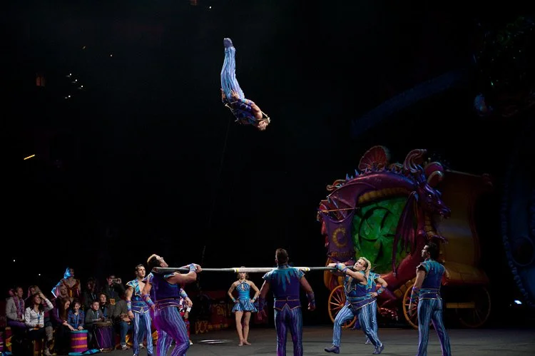 Acrobats Should Become Ambassadors