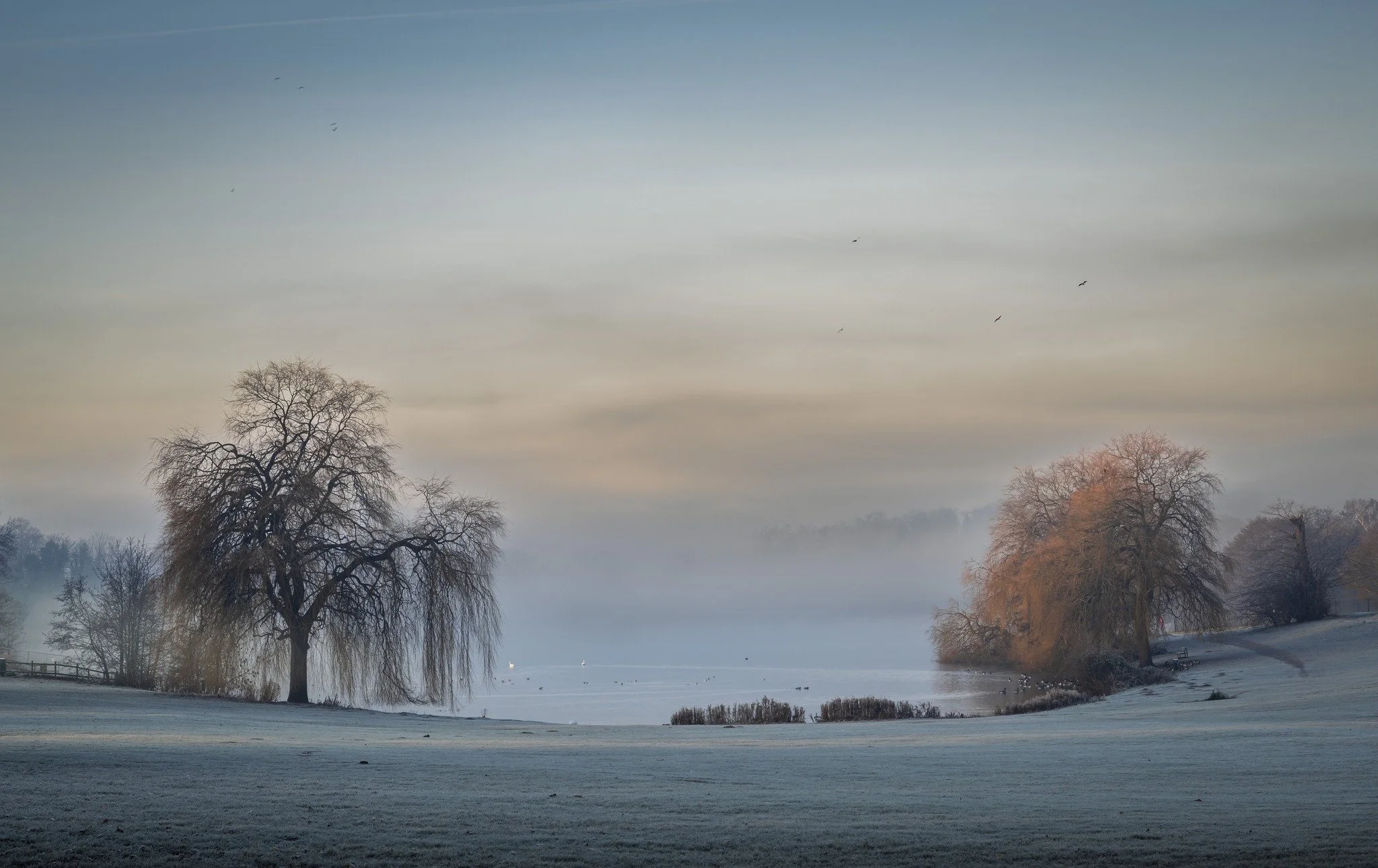 Week 14 - 'Himley Hall' - Martin Priest
