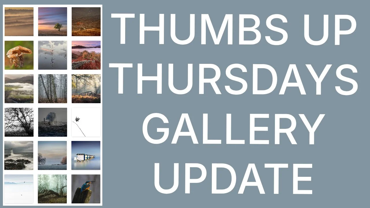 #ThumbsUpThursdays GALLERY UPDATE