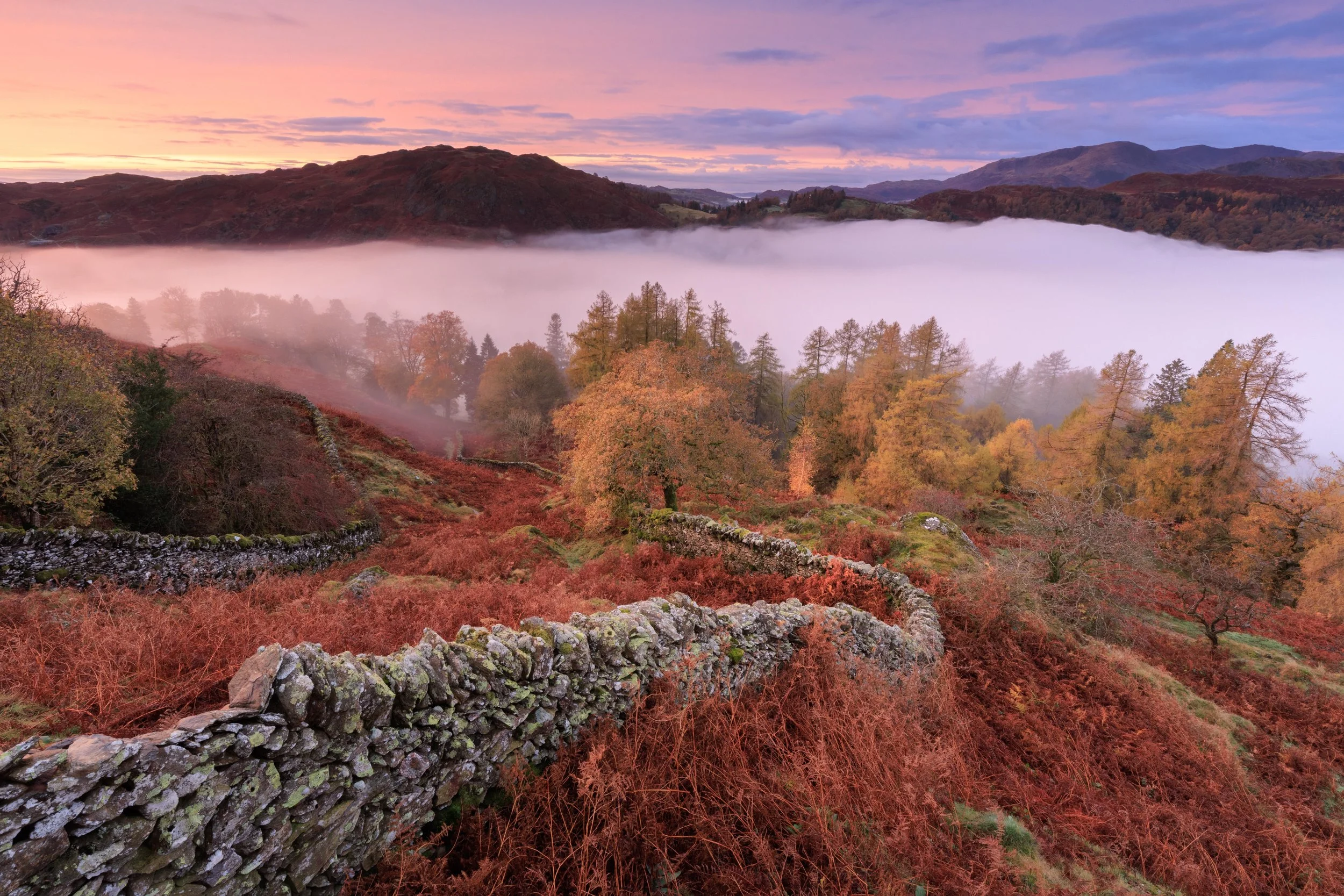 Week 6 - 'Mist In The Autumn Valley' - Jay Birmingham