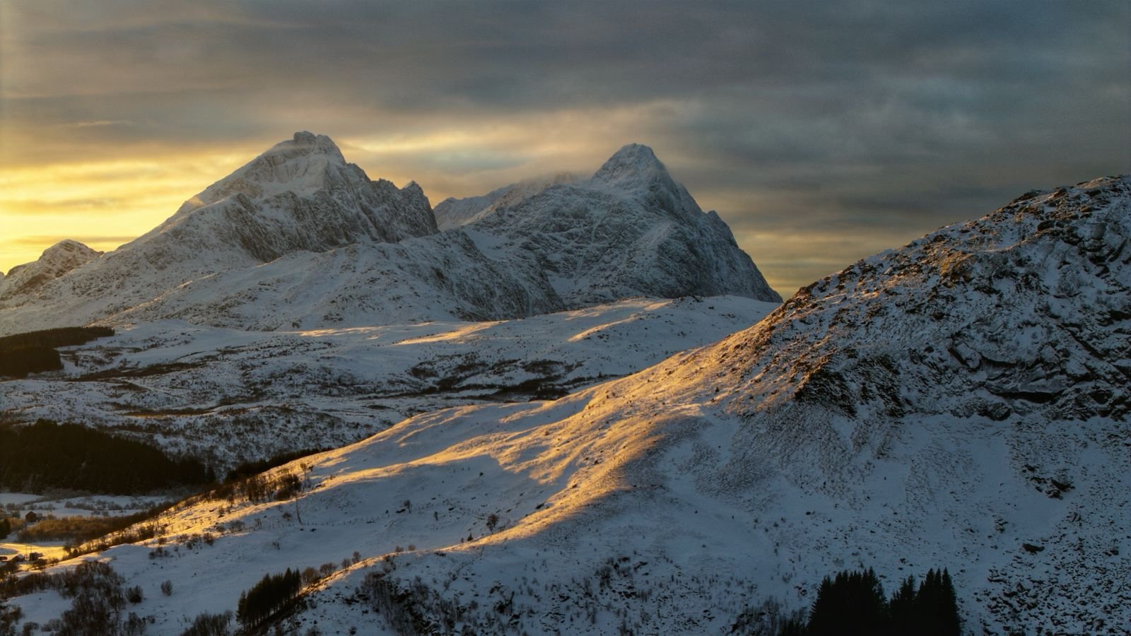 WhatsApp Image 2026-04-01 at 11.38.32.jpeg